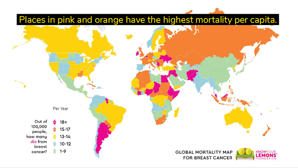 The Story Behind Know Your Lemons Foundation — Know Your Lemons® for