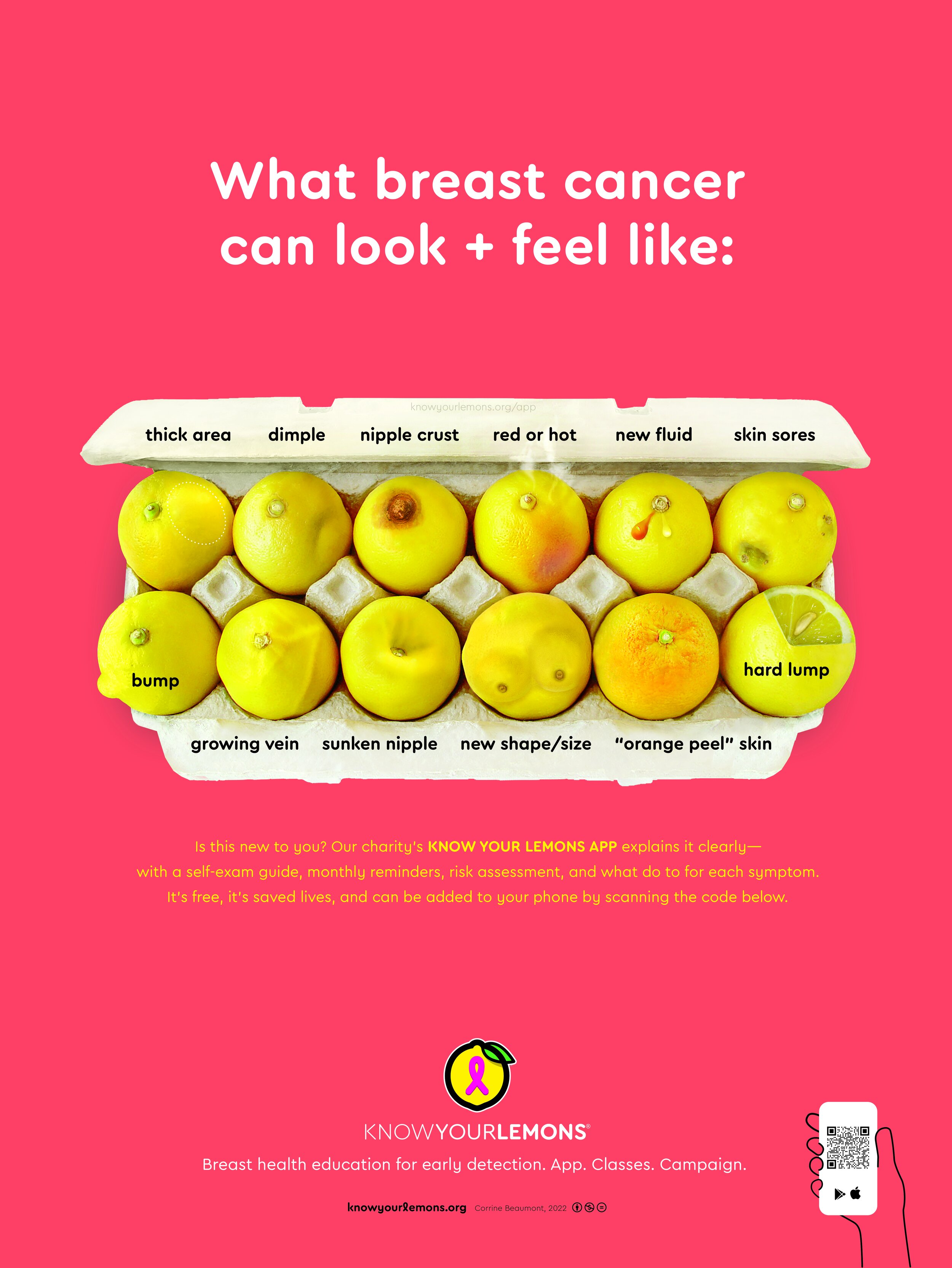 Breast Cancer Poster Of The 12 Signs Using Lemons — Know Your Lemons® for  Early Detection