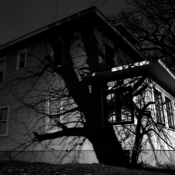 tree shadow house gs test 9788.jpg