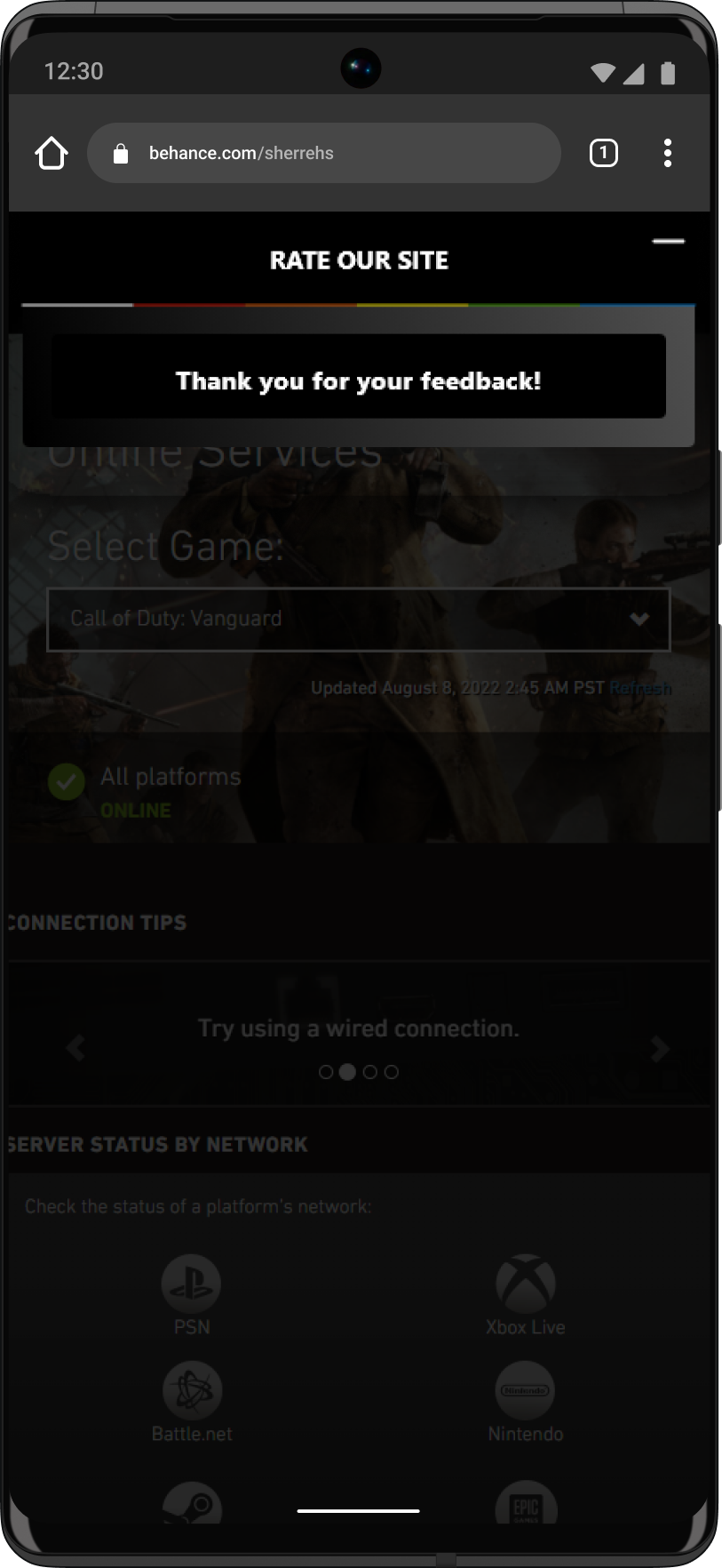 web survey 5.png