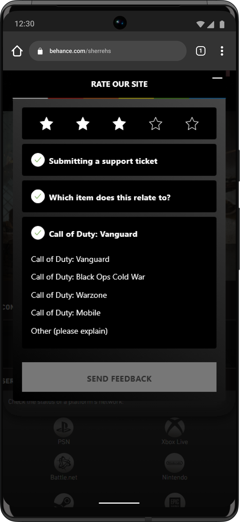 web survey 4.png