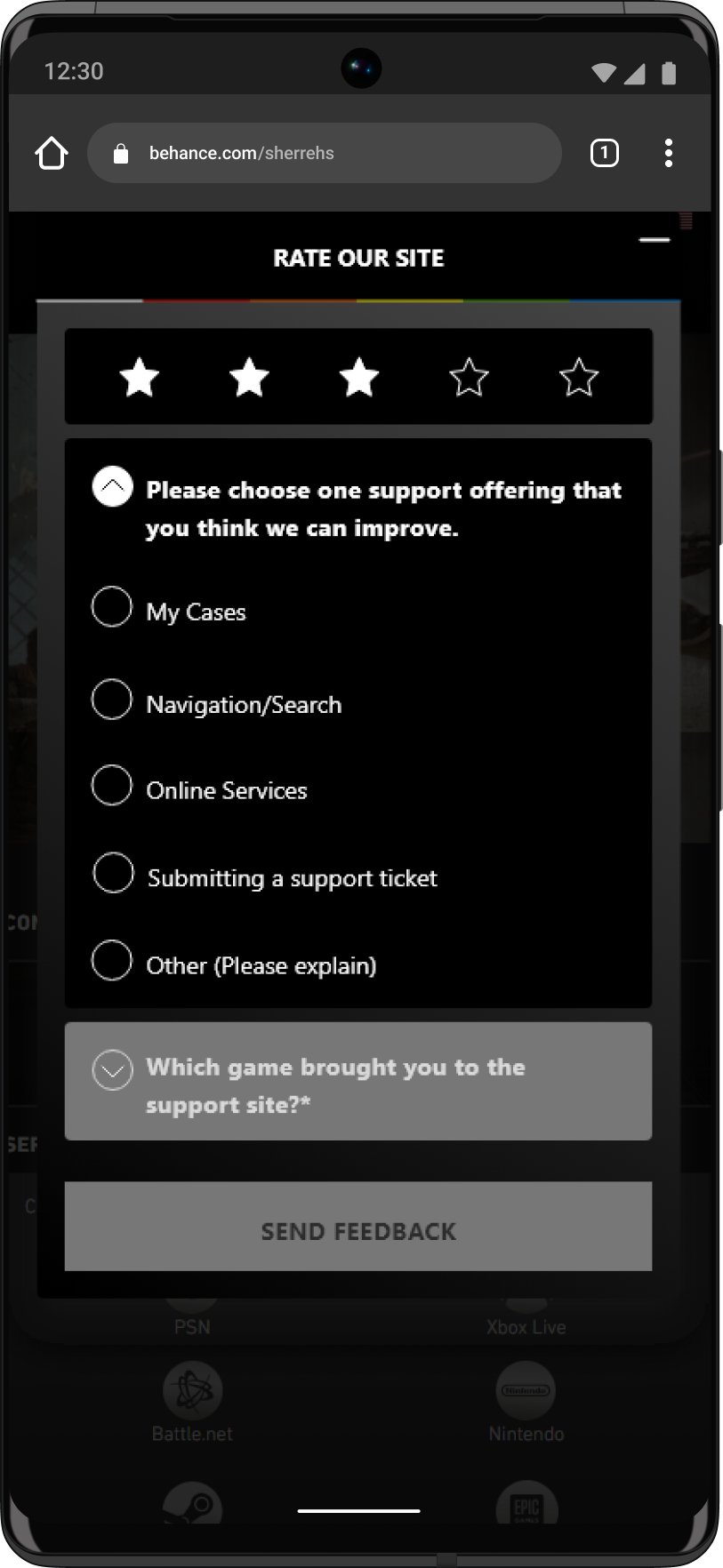 web survey 2.png