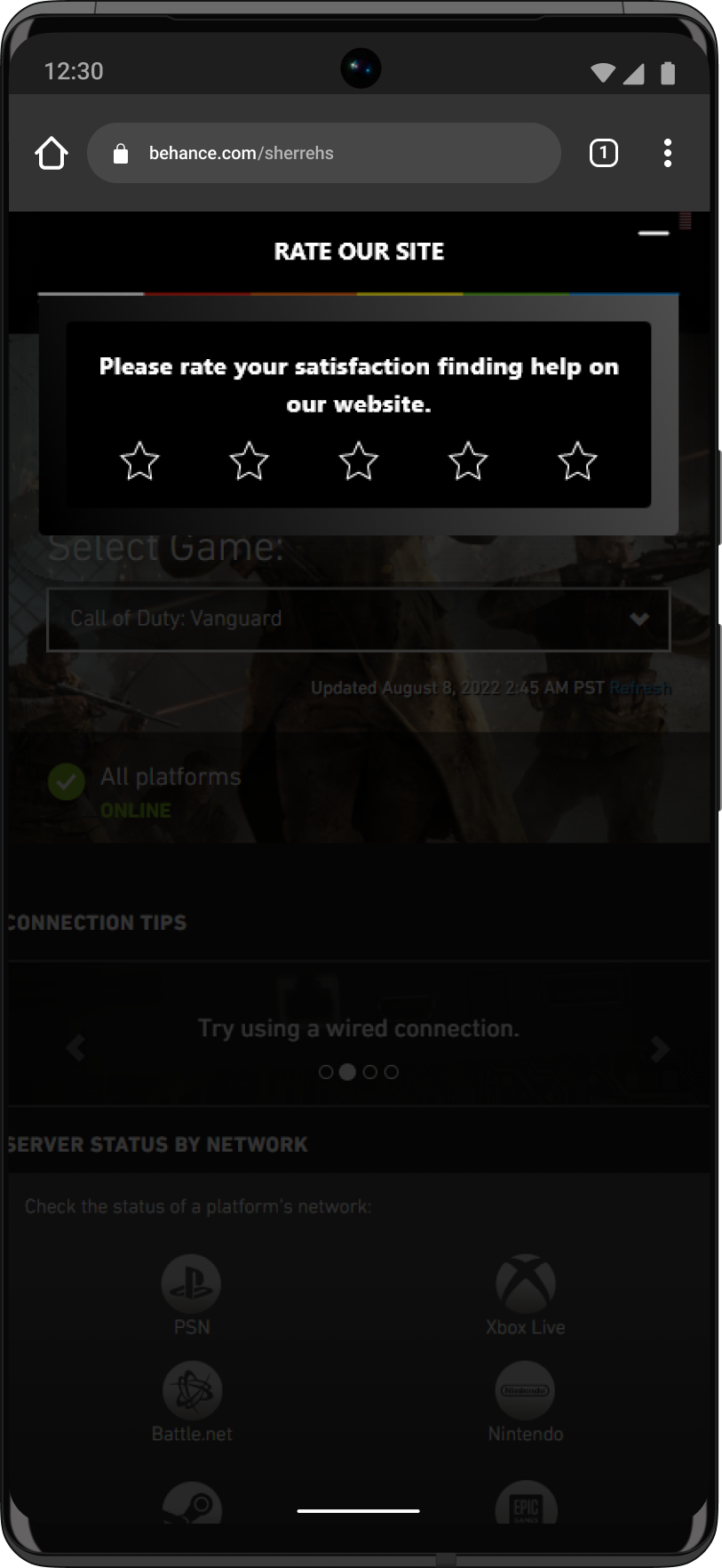 web survey 1.png
