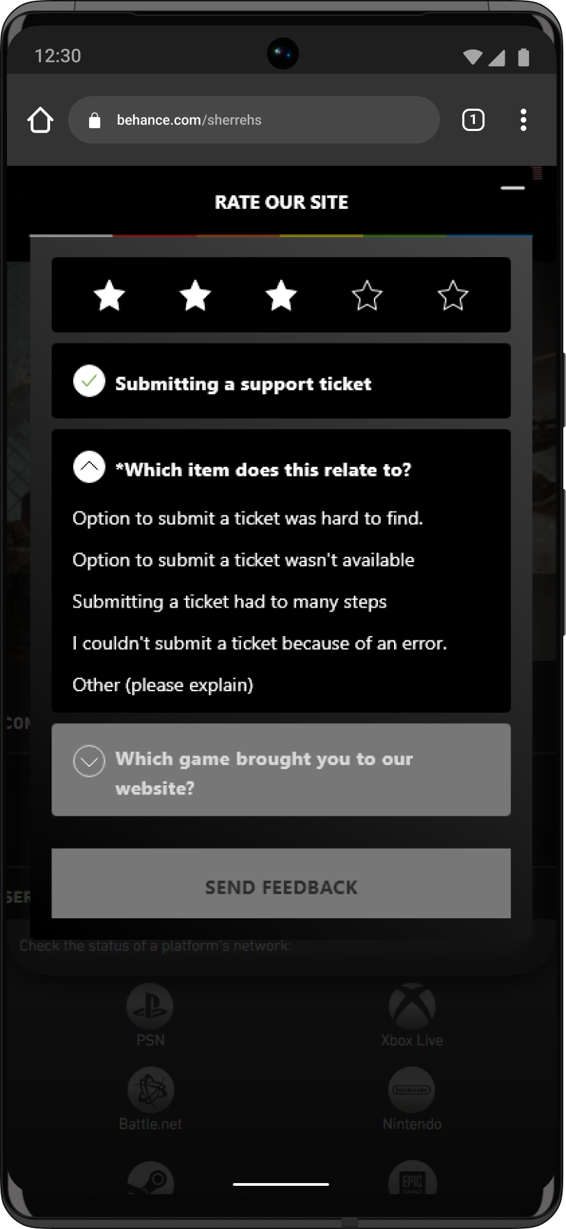 web survey 3.png