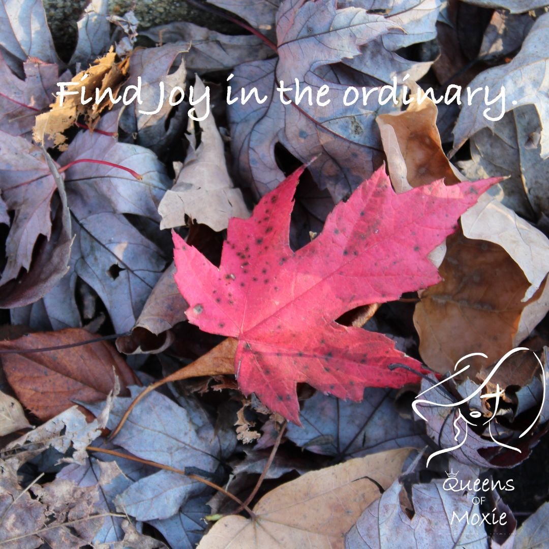 Find Joy