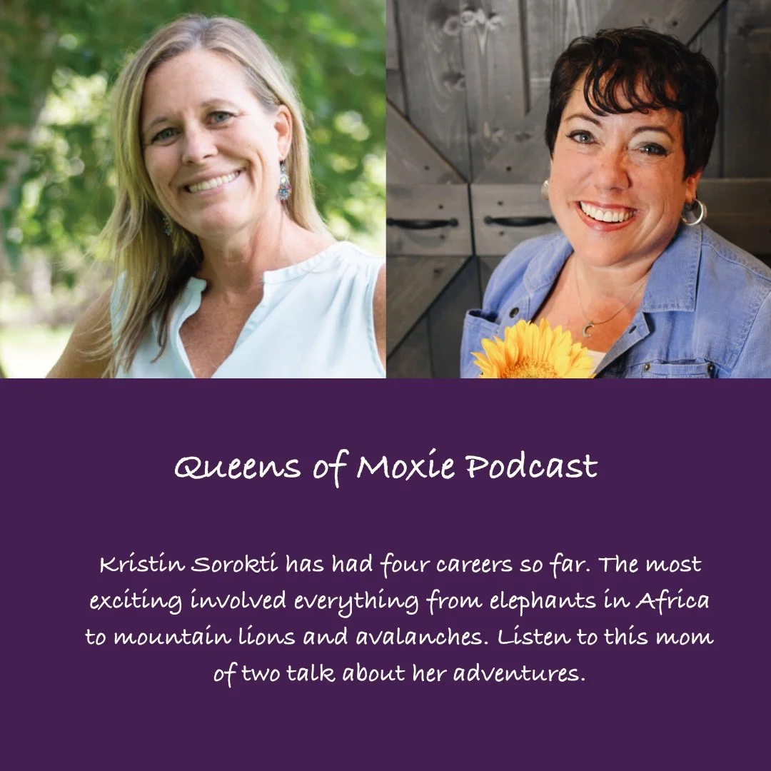 Kristin Sorokti shares her amazing career adventures.