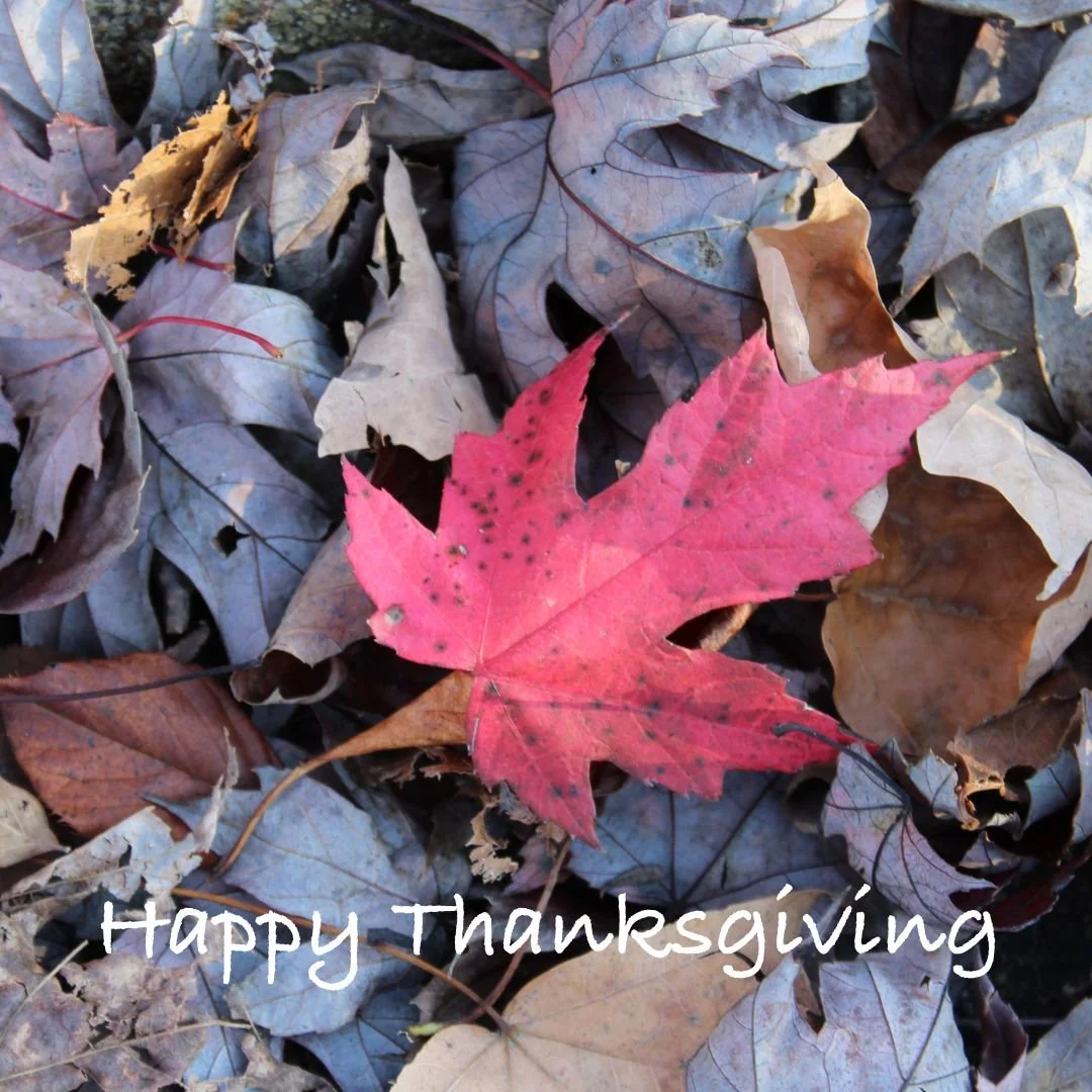 Enjoy this special Thanksgiving podcast. 