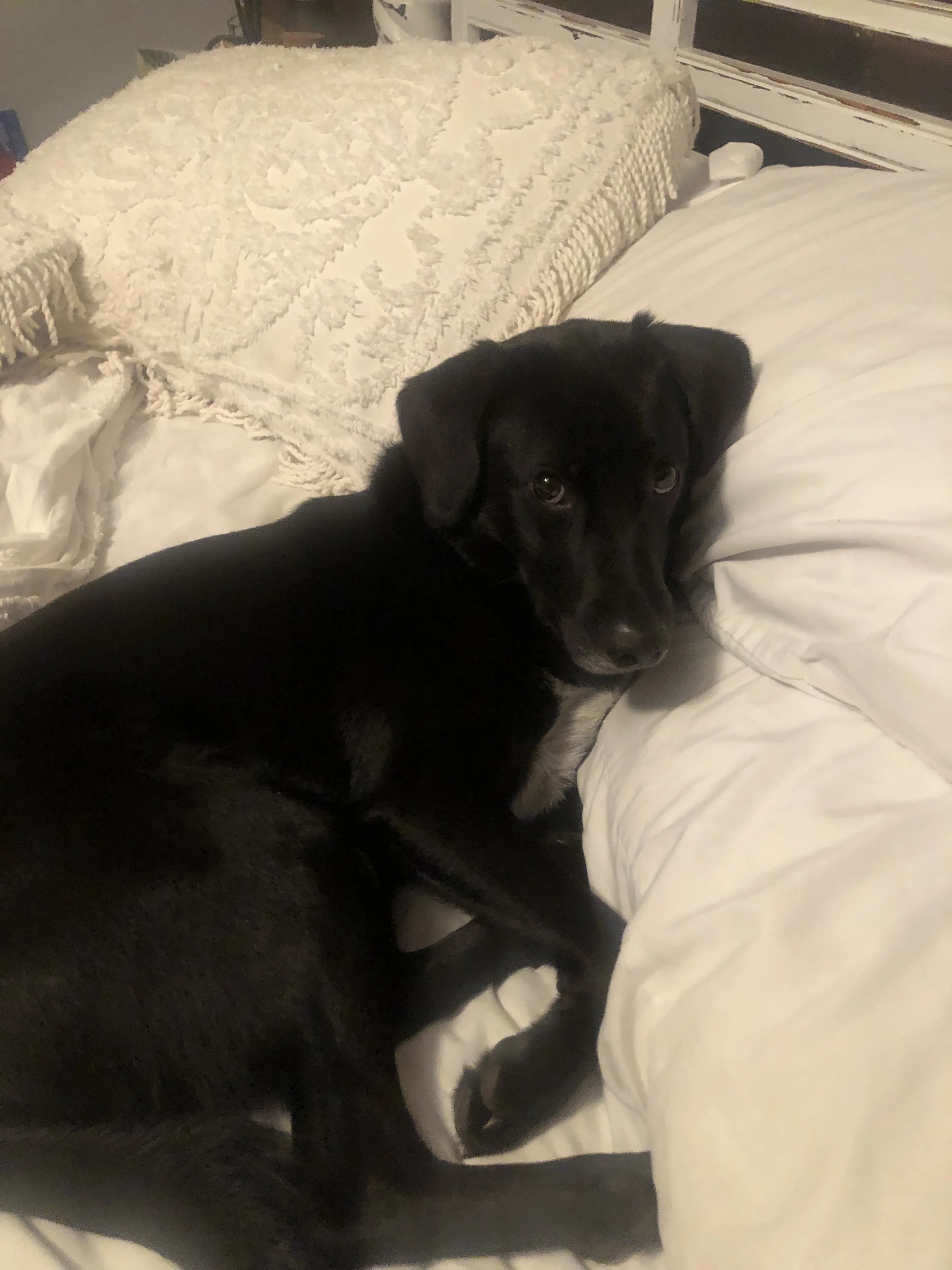 Fresh, clean sheets!