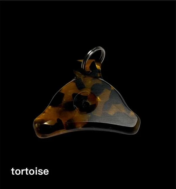 tortoise.jpg