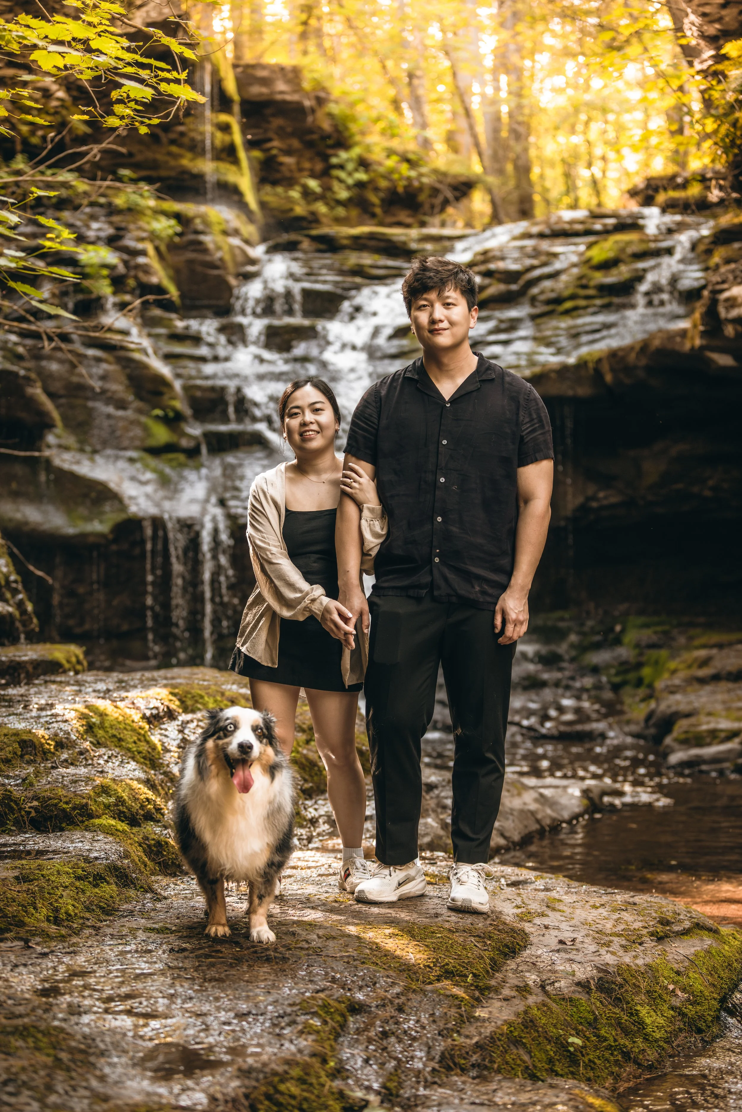 waterfall-proposal-highlights-12.jpg