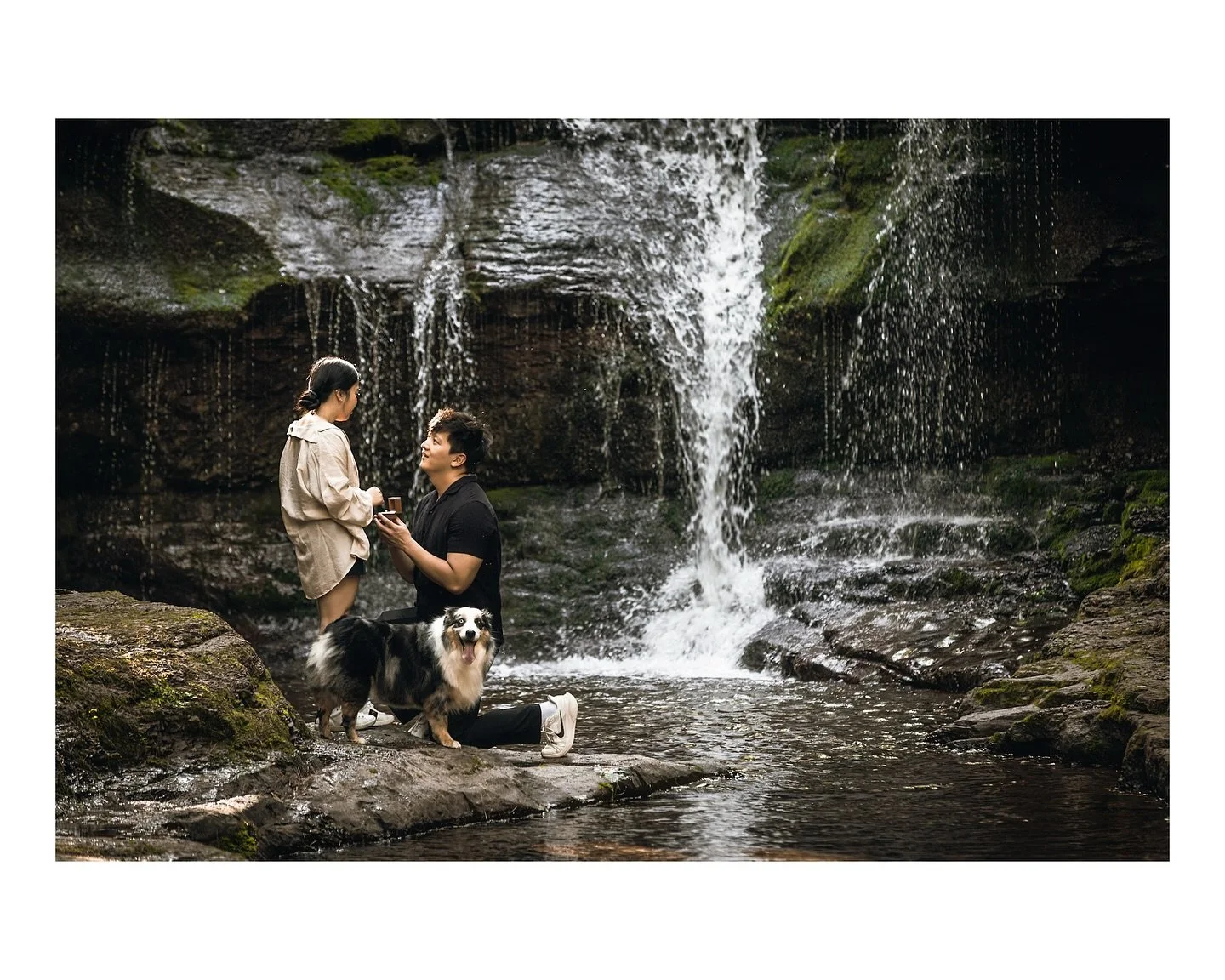She said yes! And their pup was front row for the whole thing. Proposals just hit different when your best friend is also there to witness 💍🐶
