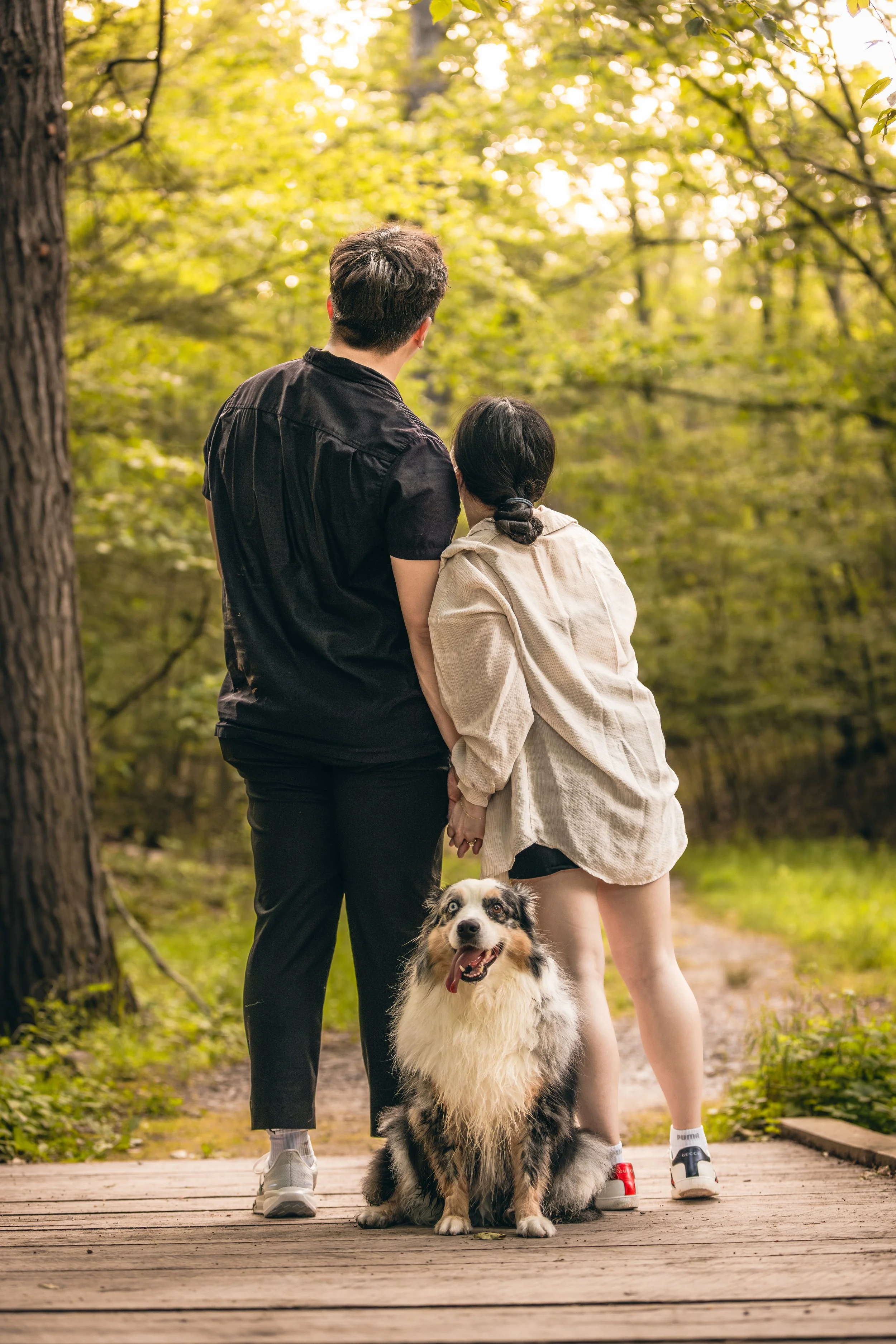 waterfall-proposal-highlights-22.jpg