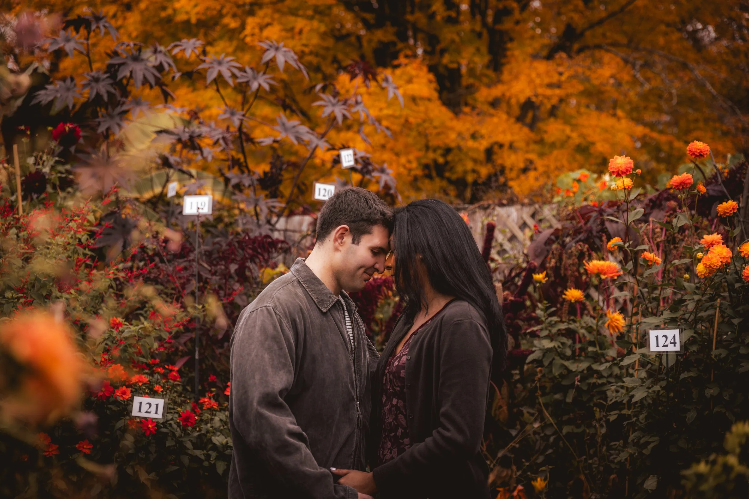 Autumn Proposal Stonecrop Gardens-18.jpg