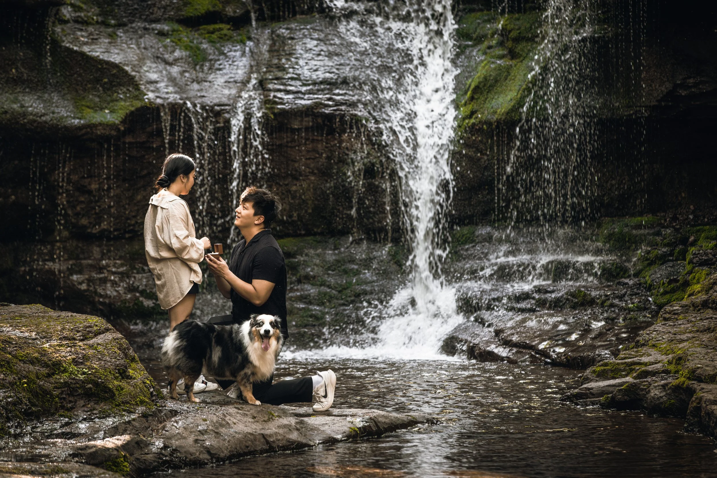 waterfall-proposal-highlights-4.jpg