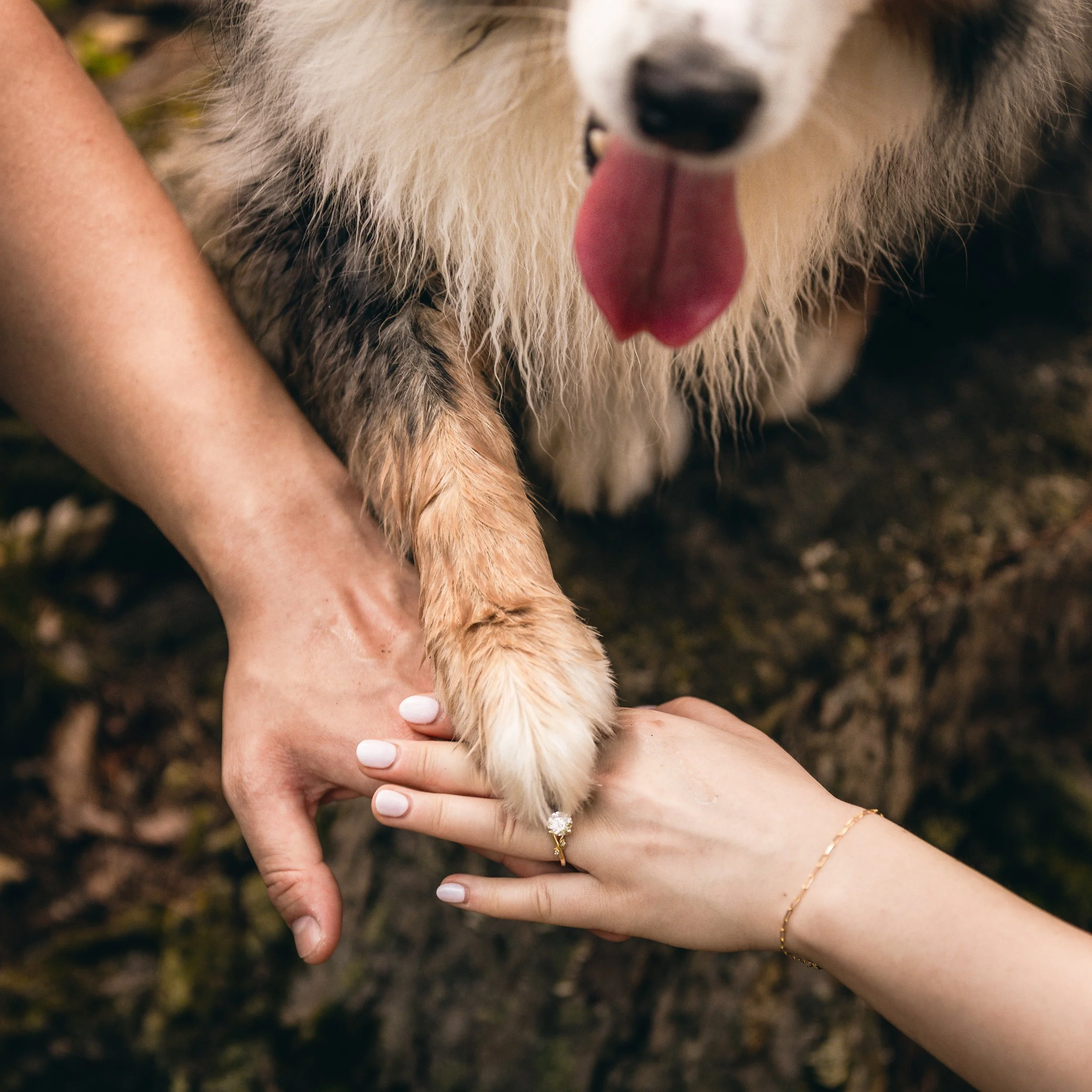 waterfall-proposal-highlights-20.jpg