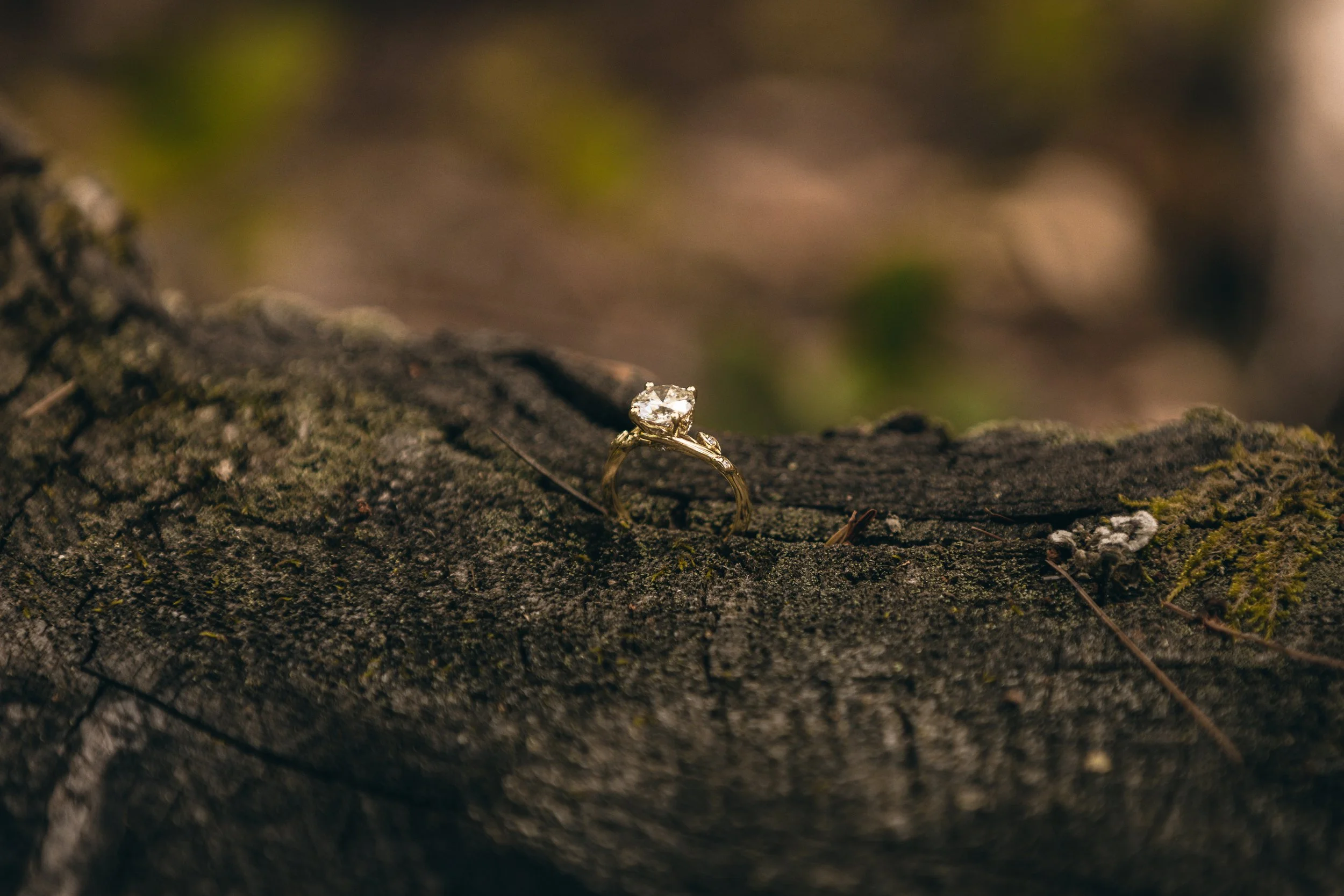 waterfall-proposal-highlights-17.jpg