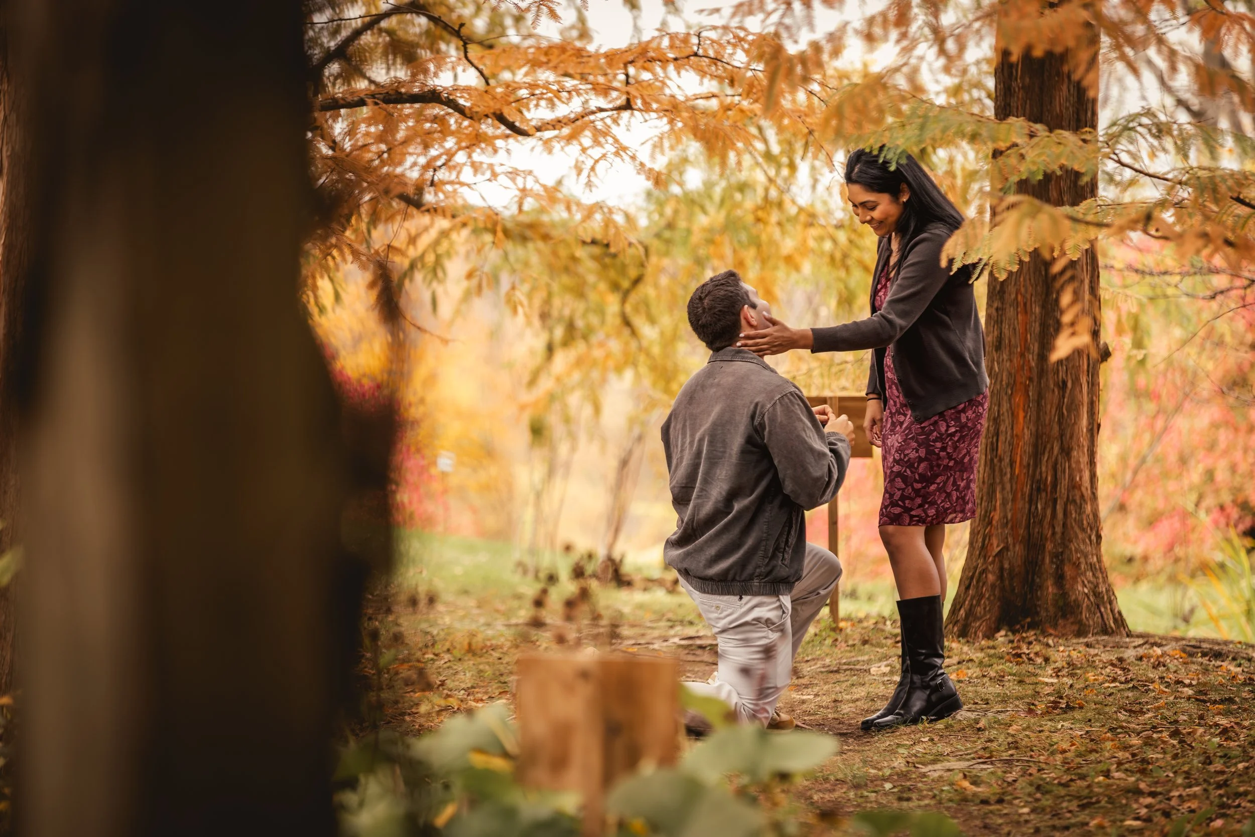 Autumn Proposal Stonecrop Gardens-1.jpg