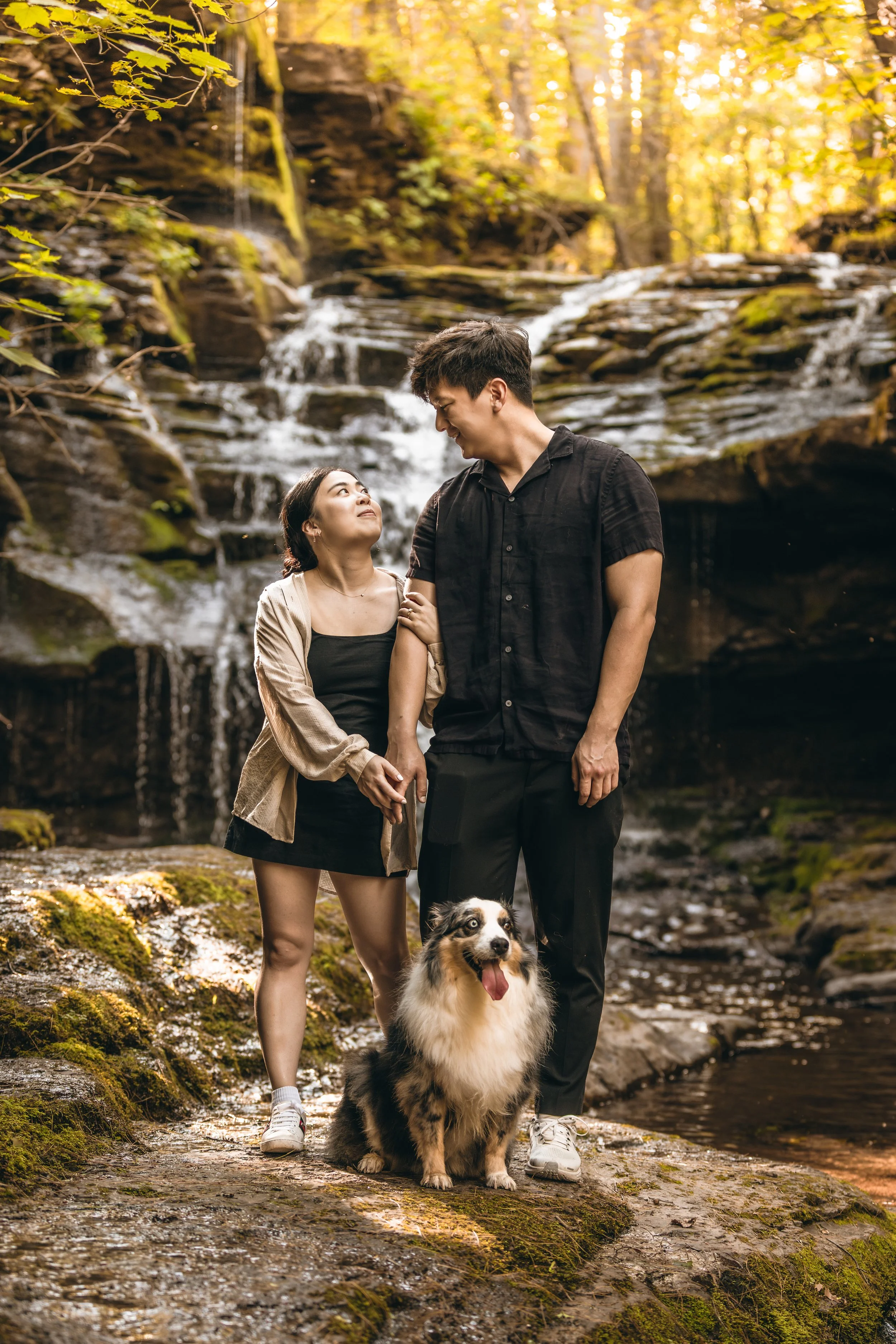 waterfall-proposal-highlights-13.jpg