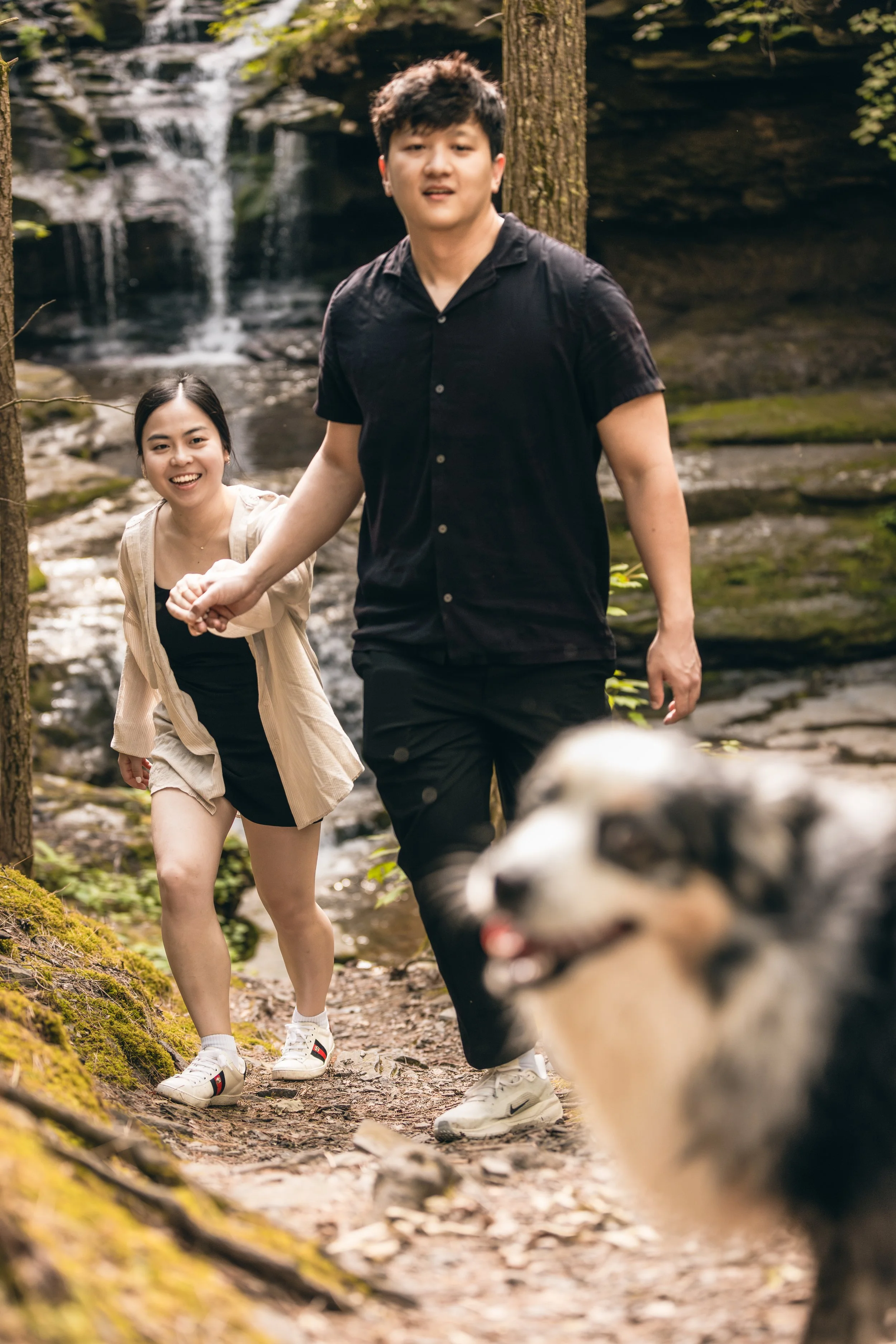waterfall-proposal-highlights-16.jpg
