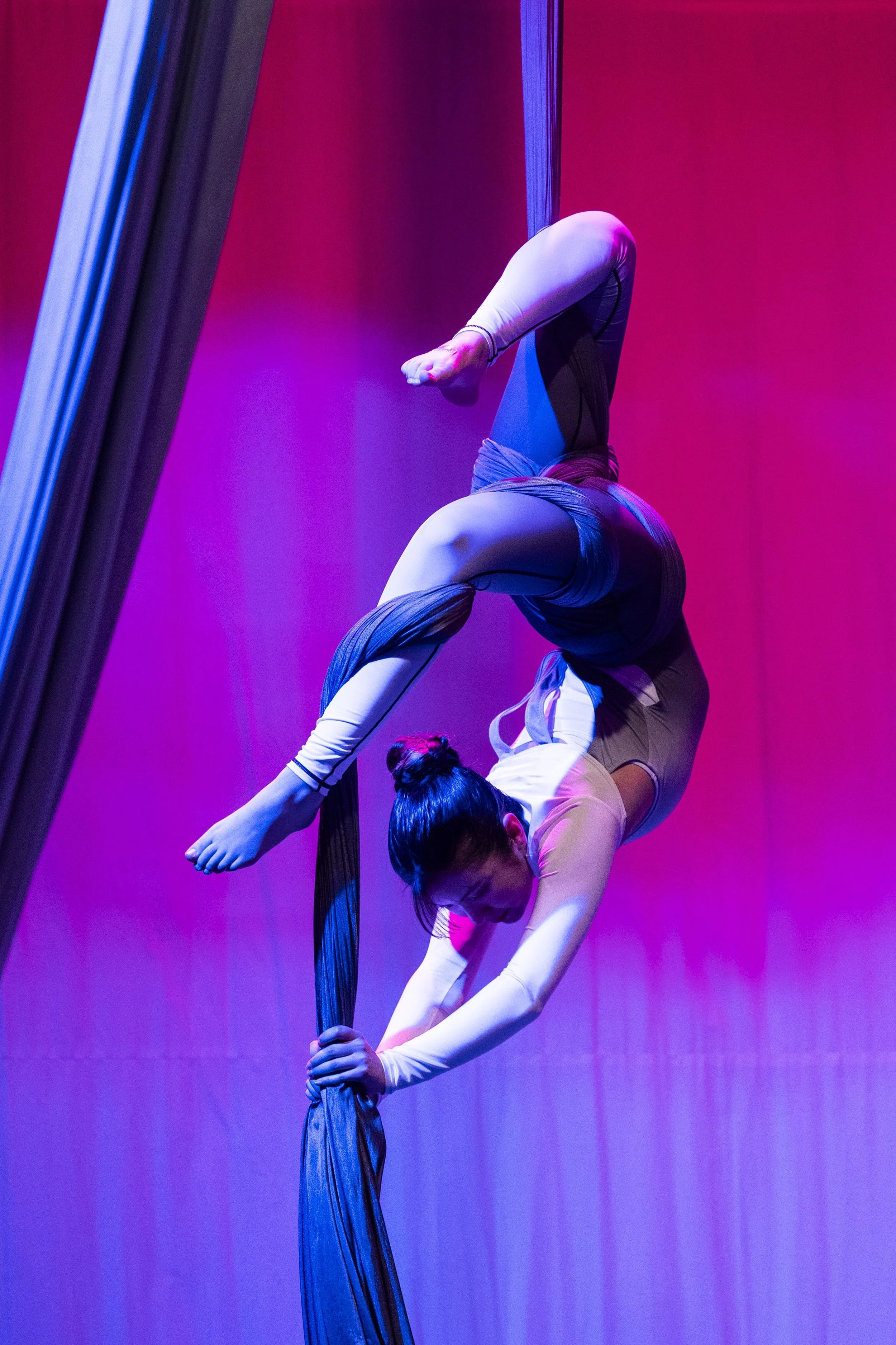 Spellbound Ball- a Montana Ballet Company fundraising event.