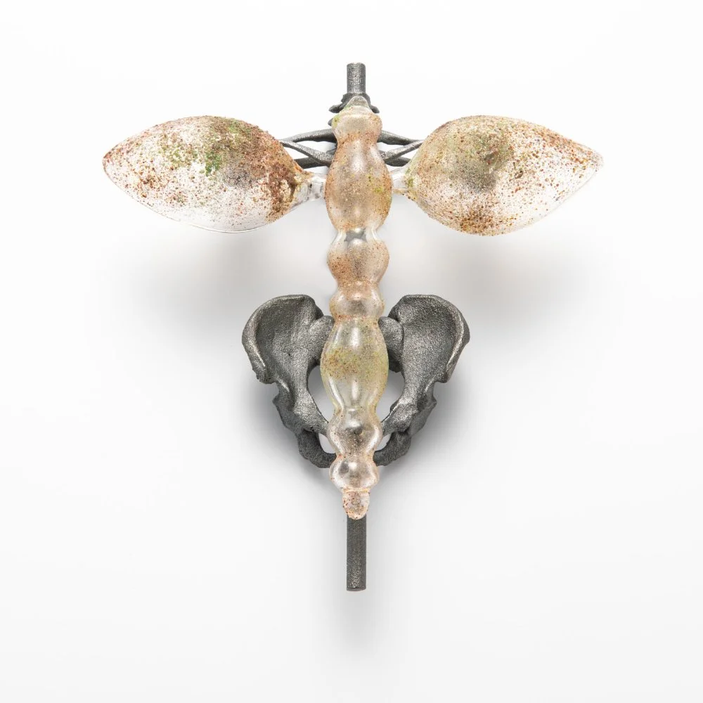 Evert-Nijland-jewellery-still-life-hybrid-2-brooch-silver.jpg