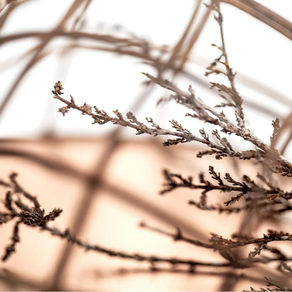 Evert-Nijland-jewellery-still-life-wall-object-relic-bronze-detail1.jpg
