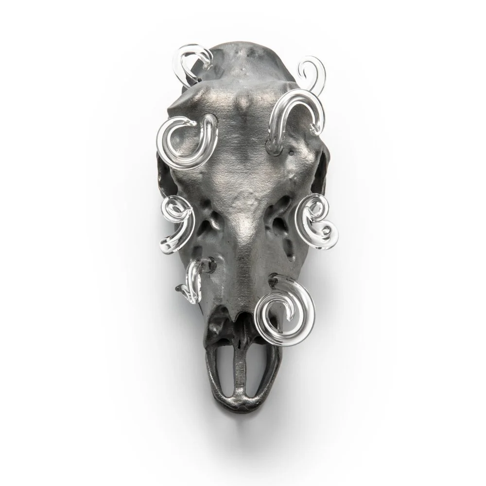 Evert-Nijland-jewellery-still-life-ornament-wall-object-silver-glass.jpg
