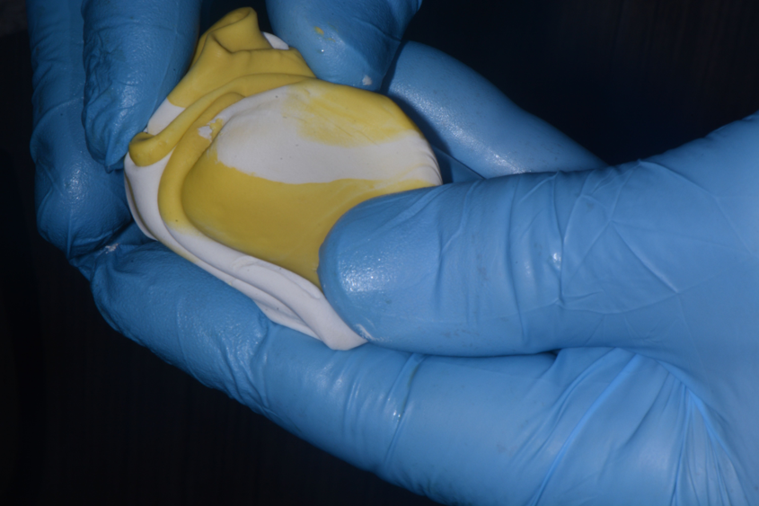 field putty 2.png