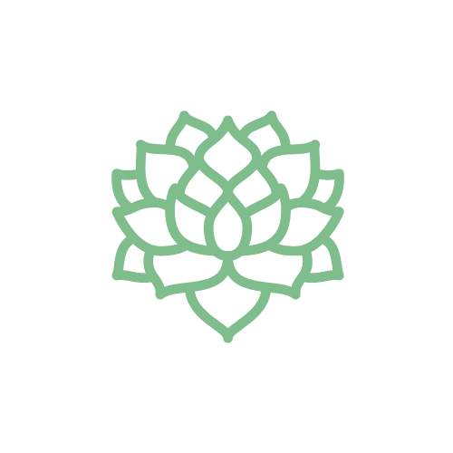 Rachel Ladov | Life Coaching & Therapy
