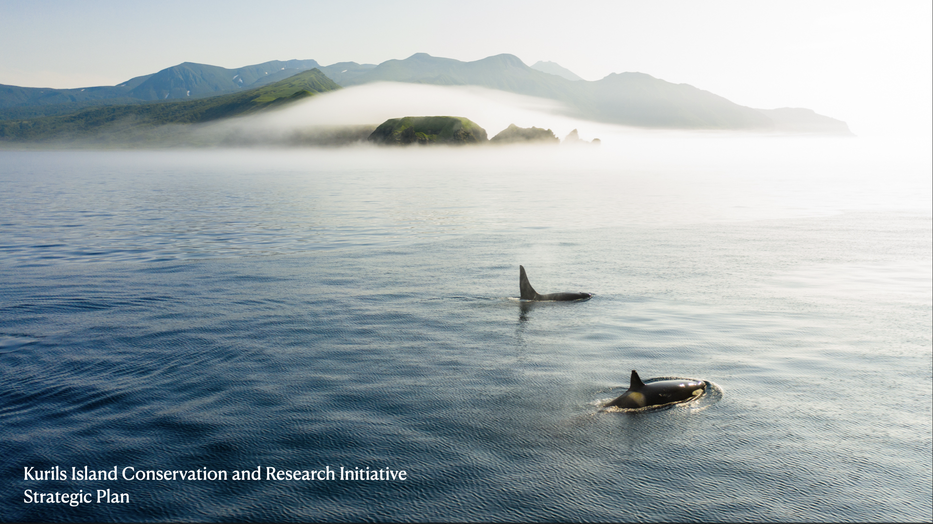 Screenshot 2025-08-01 at 8.39.49 AM.png