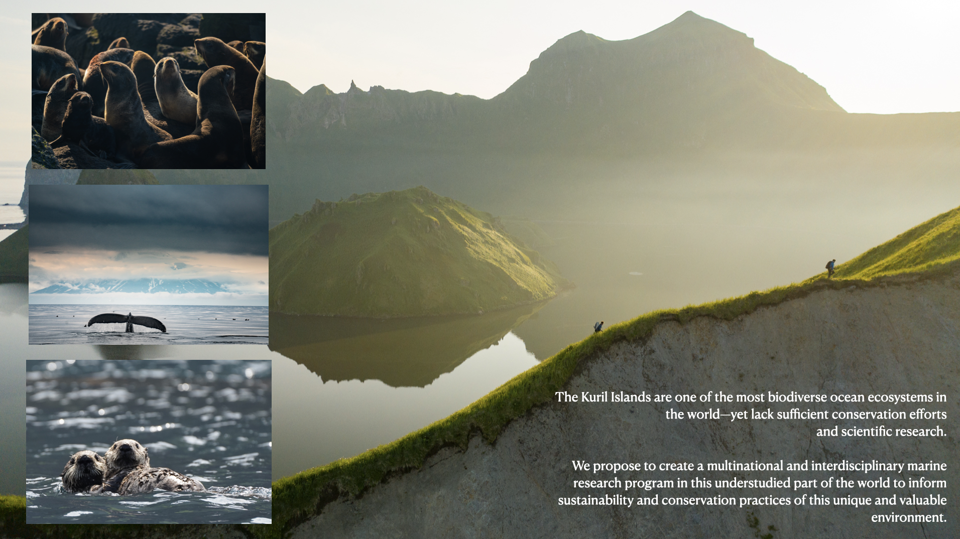 Screenshot 2025-08-01 at 8.41.23 AM.png