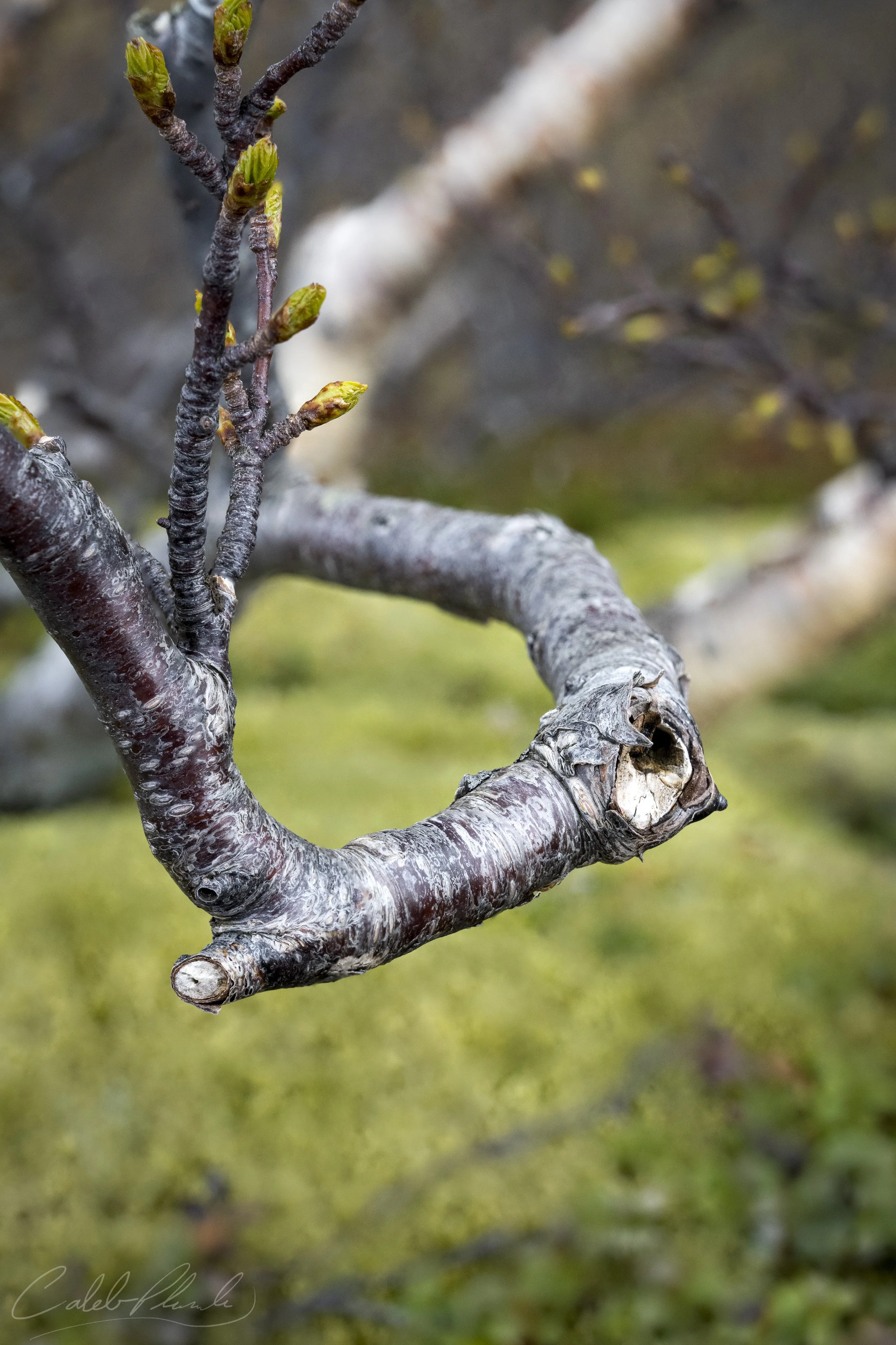 2022-06-02 21-23-26 (B,R11,S9).JPG