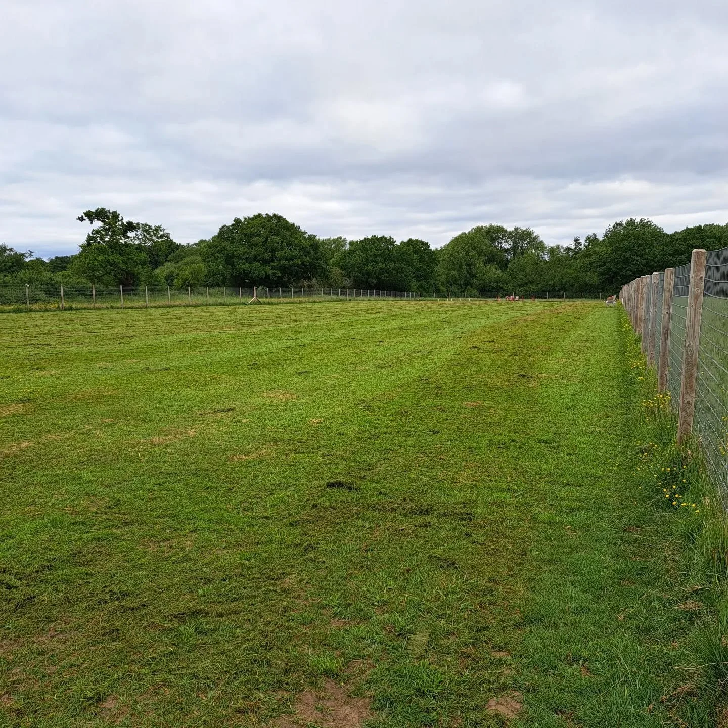 Freshly mown and waiting for 🐾🐾🐾🐾🐾🐾

#dogsrunfree
#dogparkcheshire 
#thefieldollerton
#rescuedogscheshire
#dogwalking
#happpyhounds
#cheshiredogfield