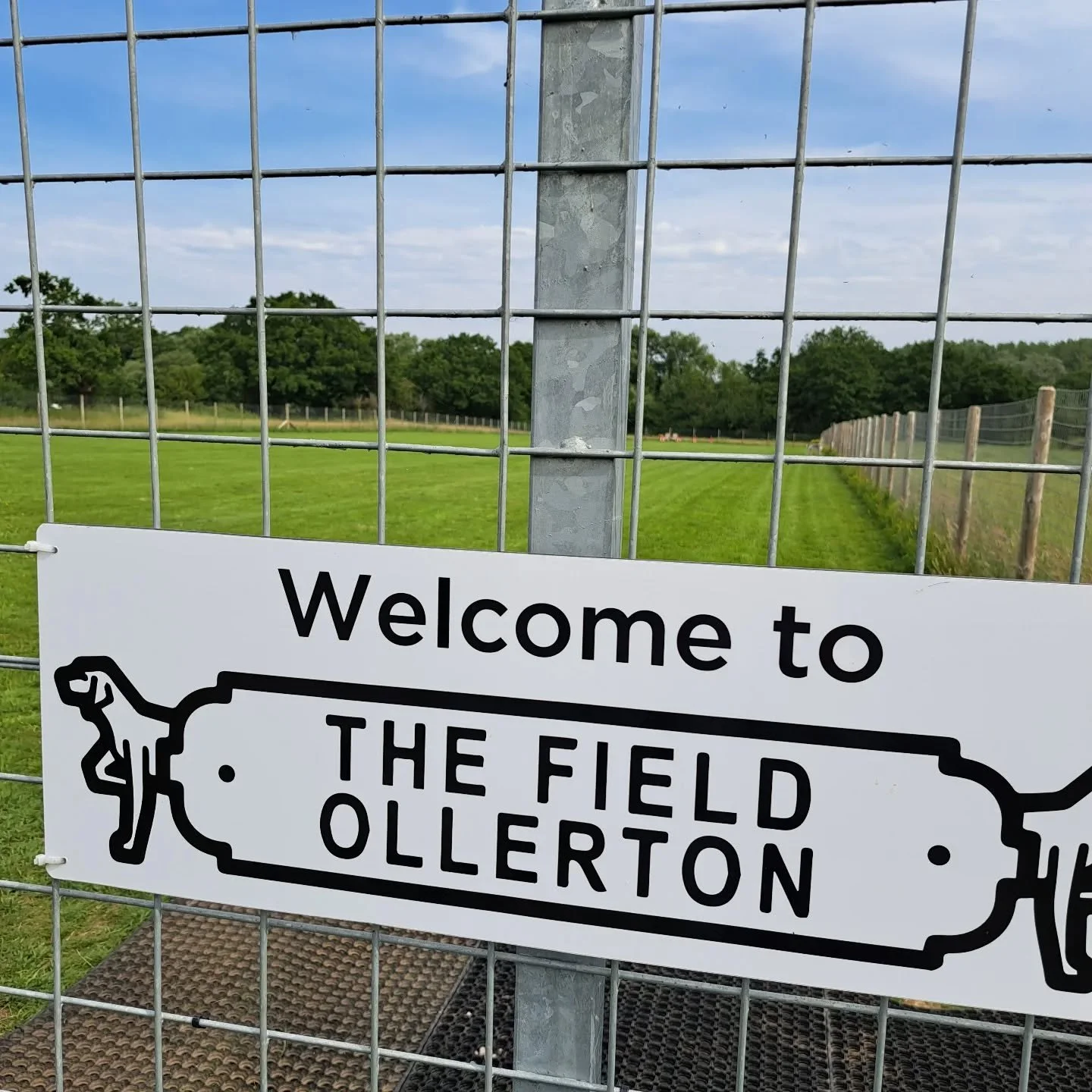 To the lovely client that says she calls us The Ritz of Dog Fields🥰
Thank you

#happydogs
#thefieldollerton 
#rescuedogscheshire 
#dogsincheshire 
#dogsrunfree