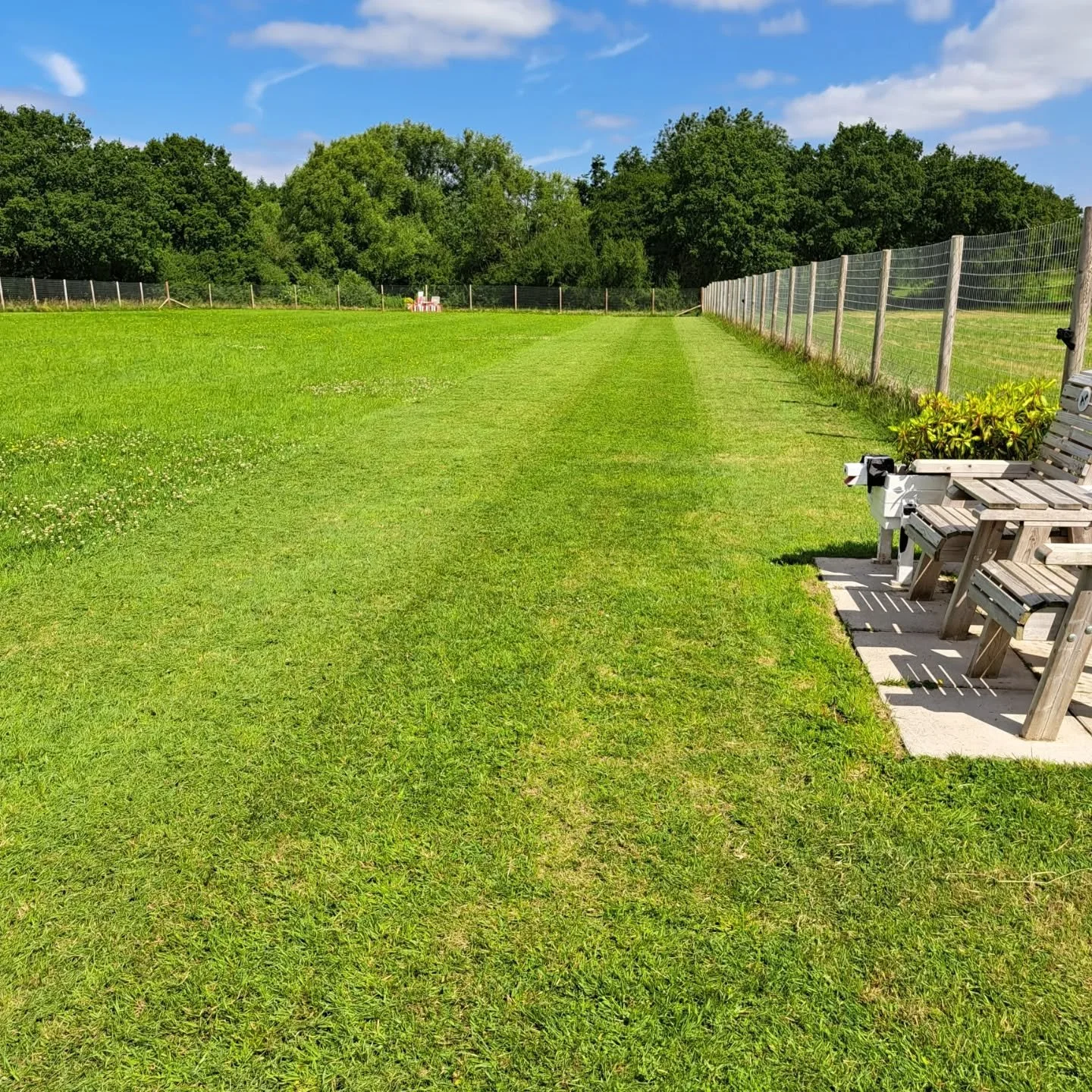 Treat your bestie to a run 🐾🐾

#thefieldollerton 
#securedogfield
#cheshiredogs
#rescuedogs
#dogsrunfree
#dogslife 
#goostrey#alderleyedge#wilmslow
#knutsford