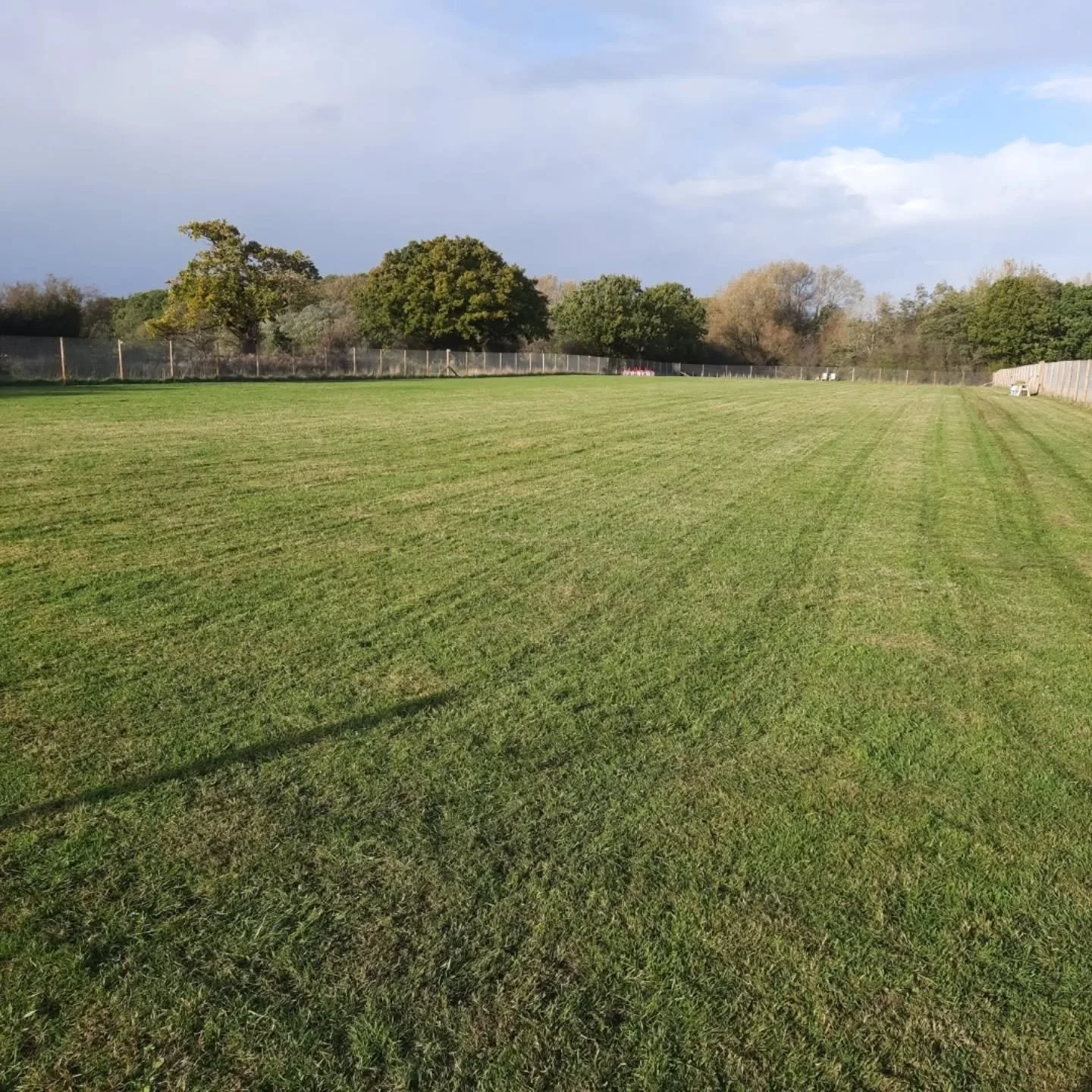 Happy International Dog Day to all our clients 🐾🐾

#dogsofknutsford 
#thefieldollerton 
#happyhounds 
#rescuedogscheshire 
#wilmslow#knutsford
#henbury#alderleyedge