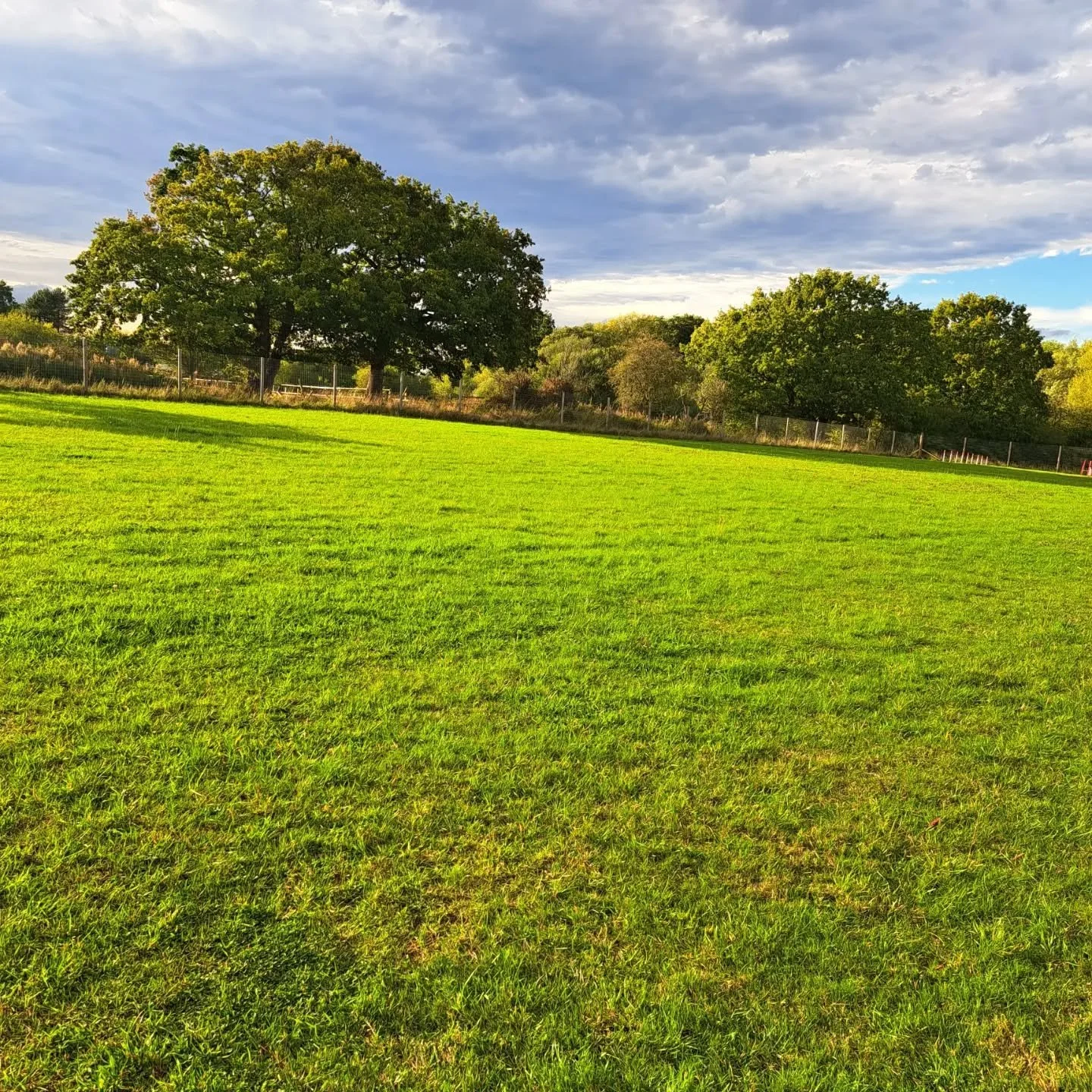 Remember the dog walk🐾

#securedogfieldscheshire
#privatedogwalking
#thefieldollerton
#dogwalkers
#dogsinknutsford