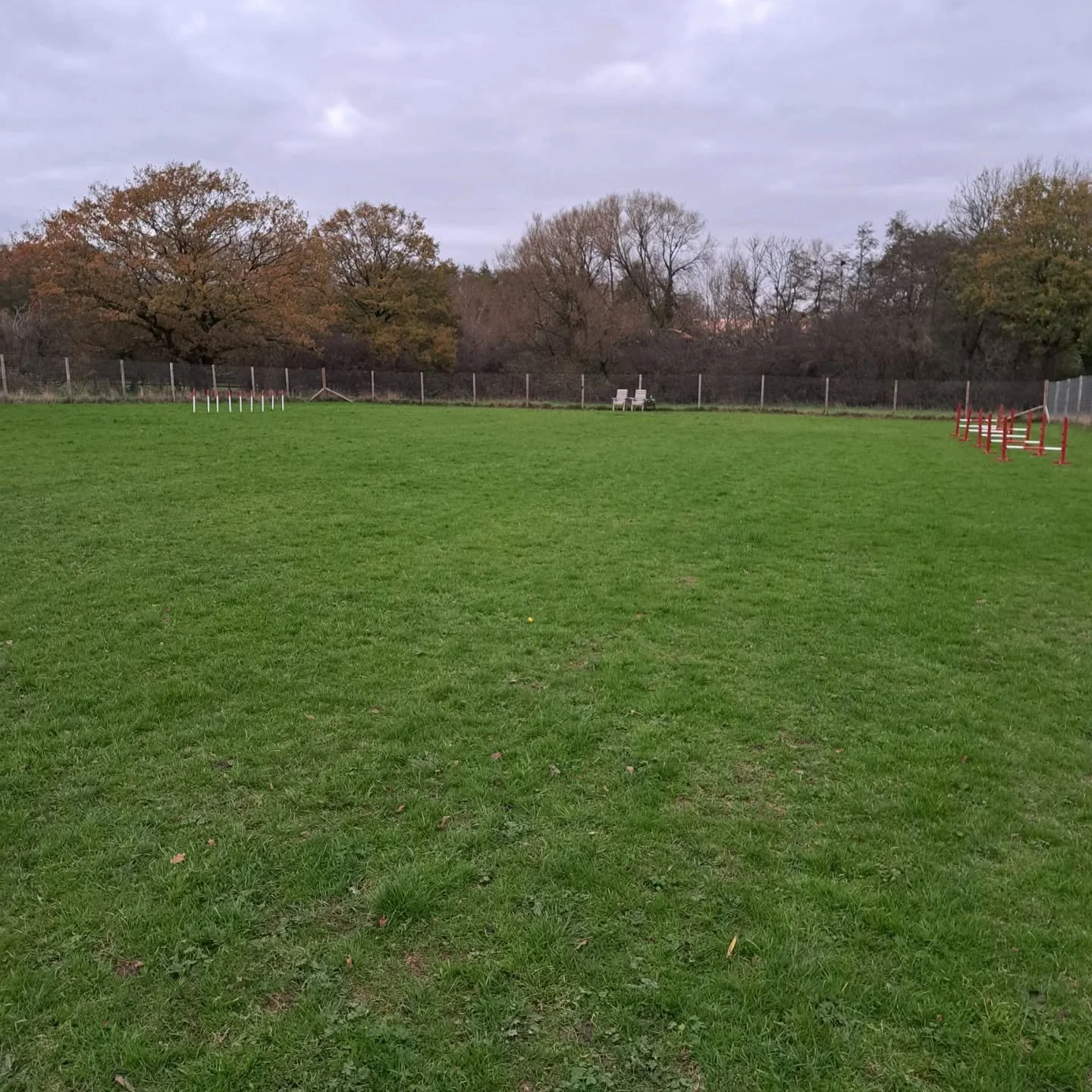 Winter dog walks🐾🐾

#securefield 
#walkingthedog
#welliesandwalks
#happydogs 
#thefieldollerton