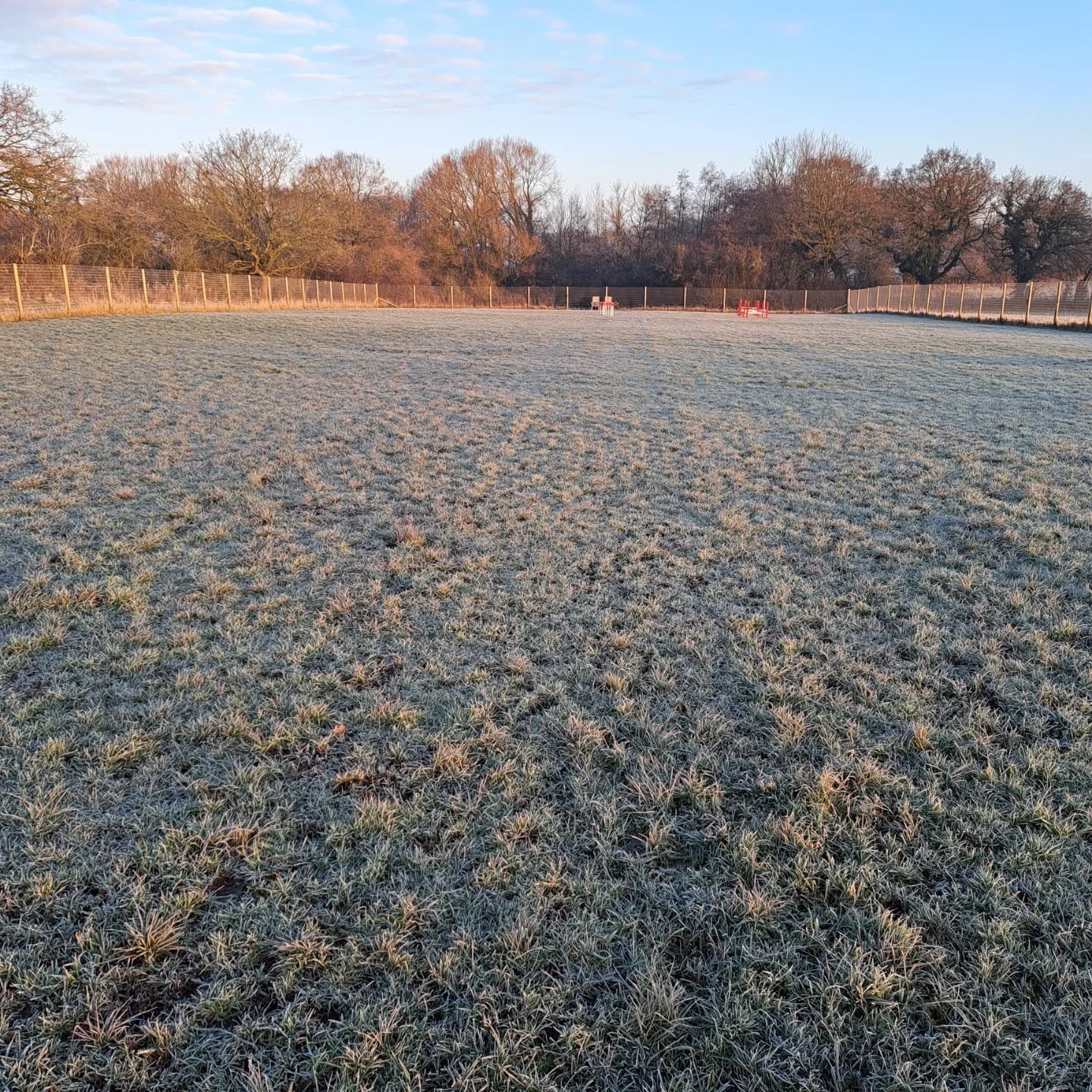 Winter dog walks
#thefieldollerton 
#securedogfield
#rescuedogscheshire 
#dogwalkerscheshire 
#chelford