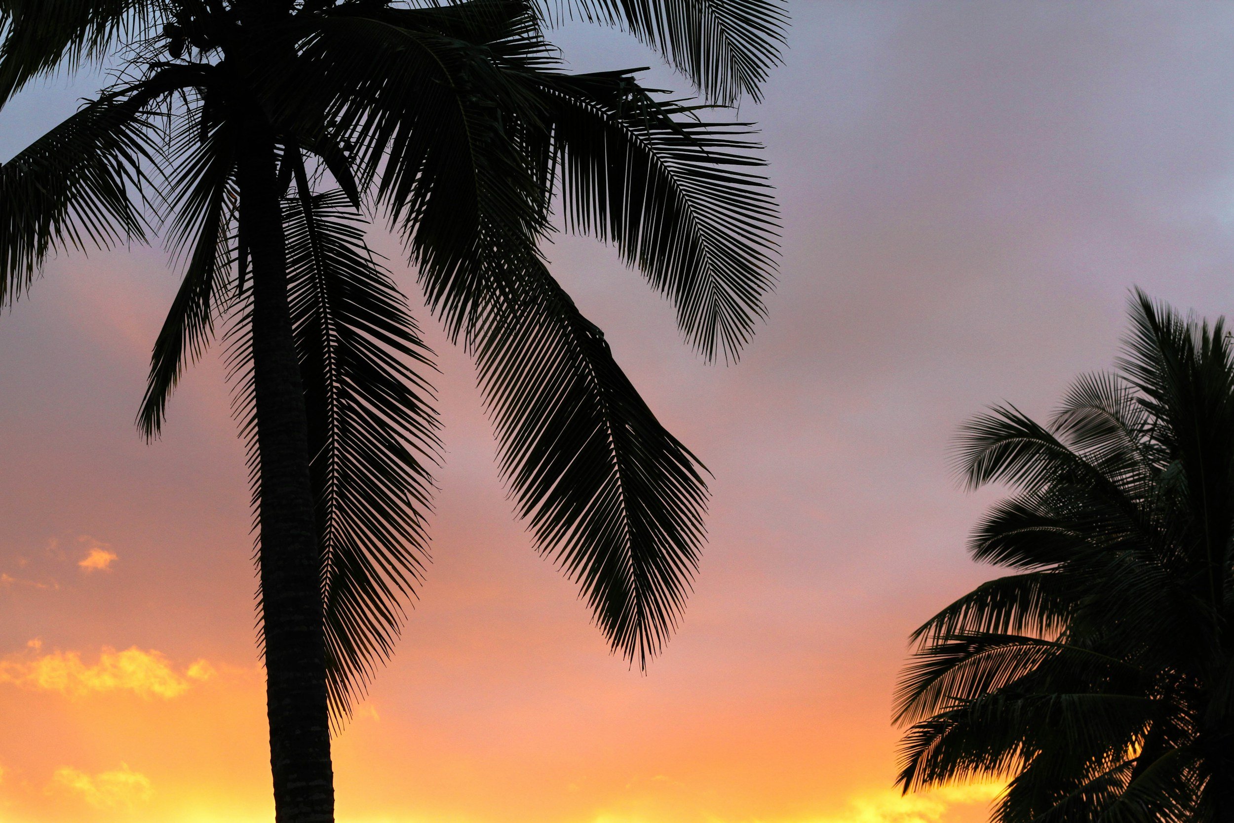 Paradise Lost, Paradise Found