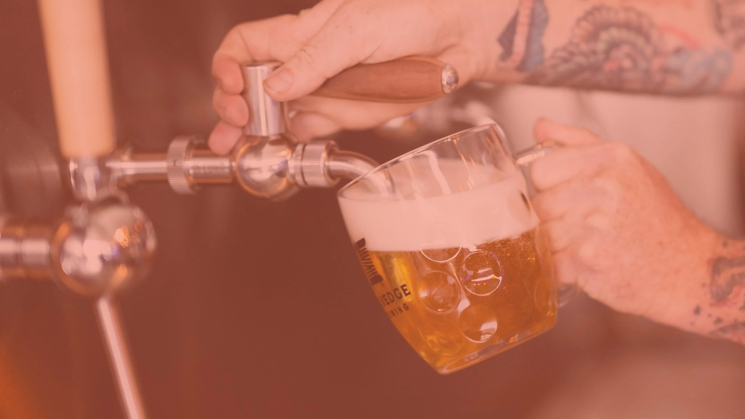 SB-Banner-2.jpg