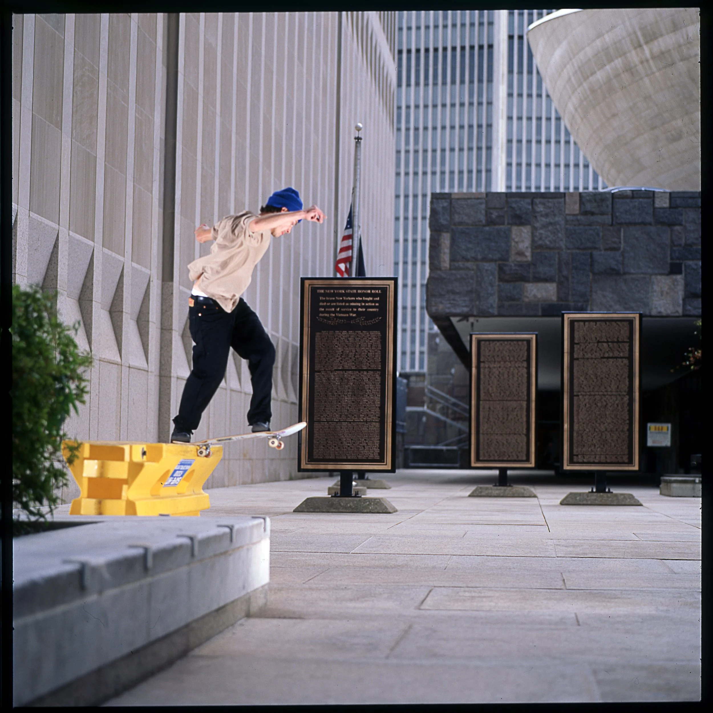 bova back tail001.jpg