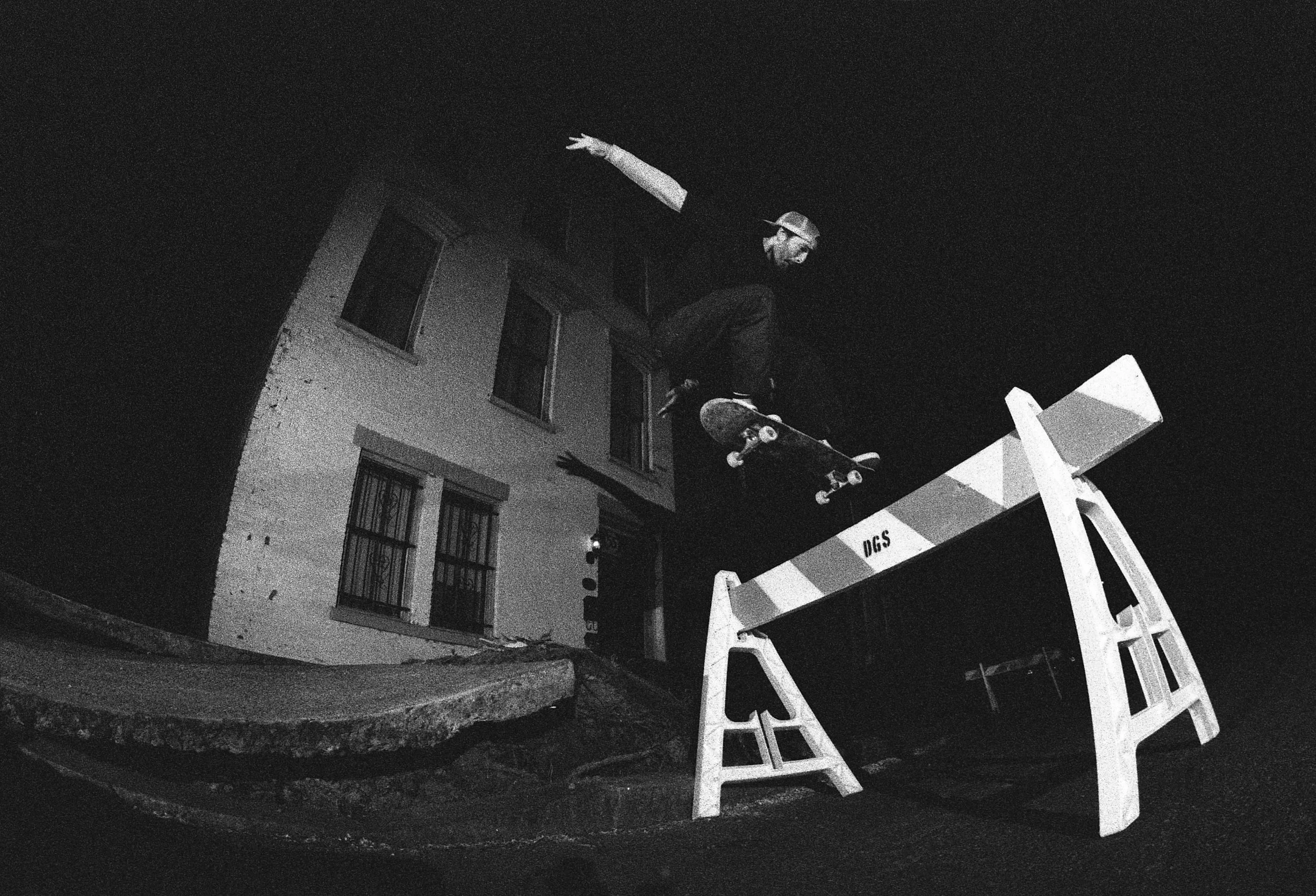 tiger tree bump ollie.jpg