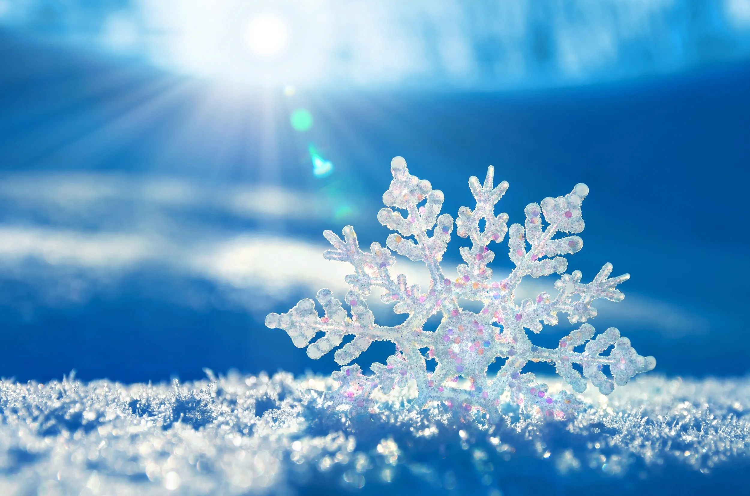 December Newsletter
