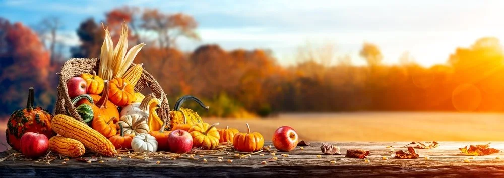 Happy Thanksgiving