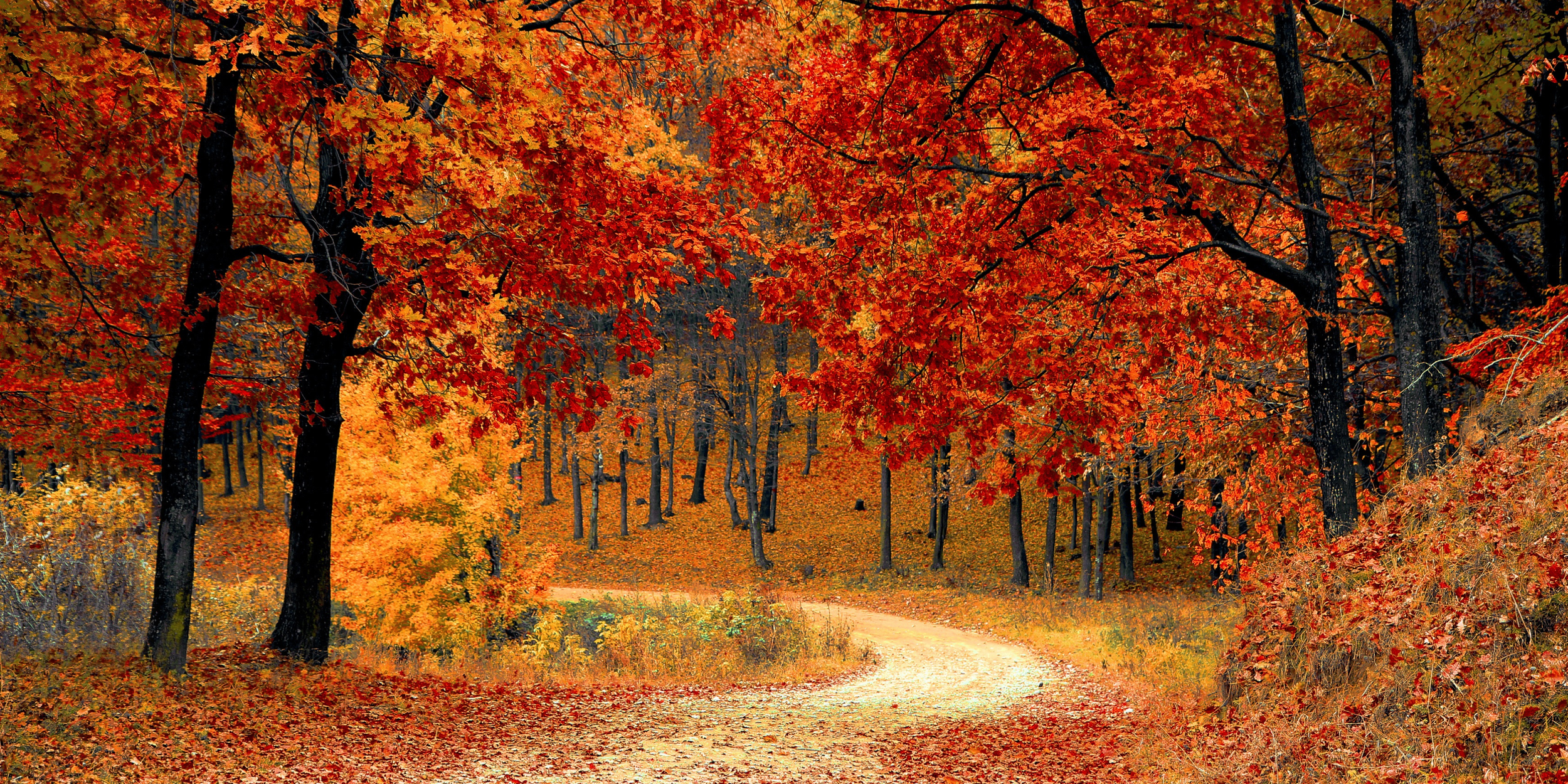 October Newsletter
