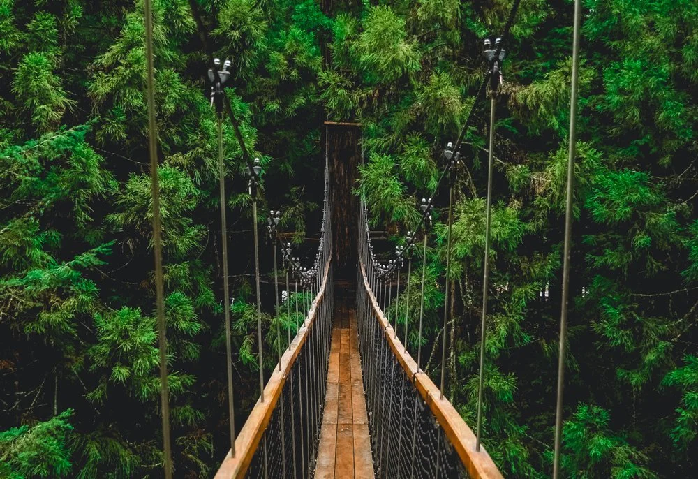 Rotorua, New Zealand