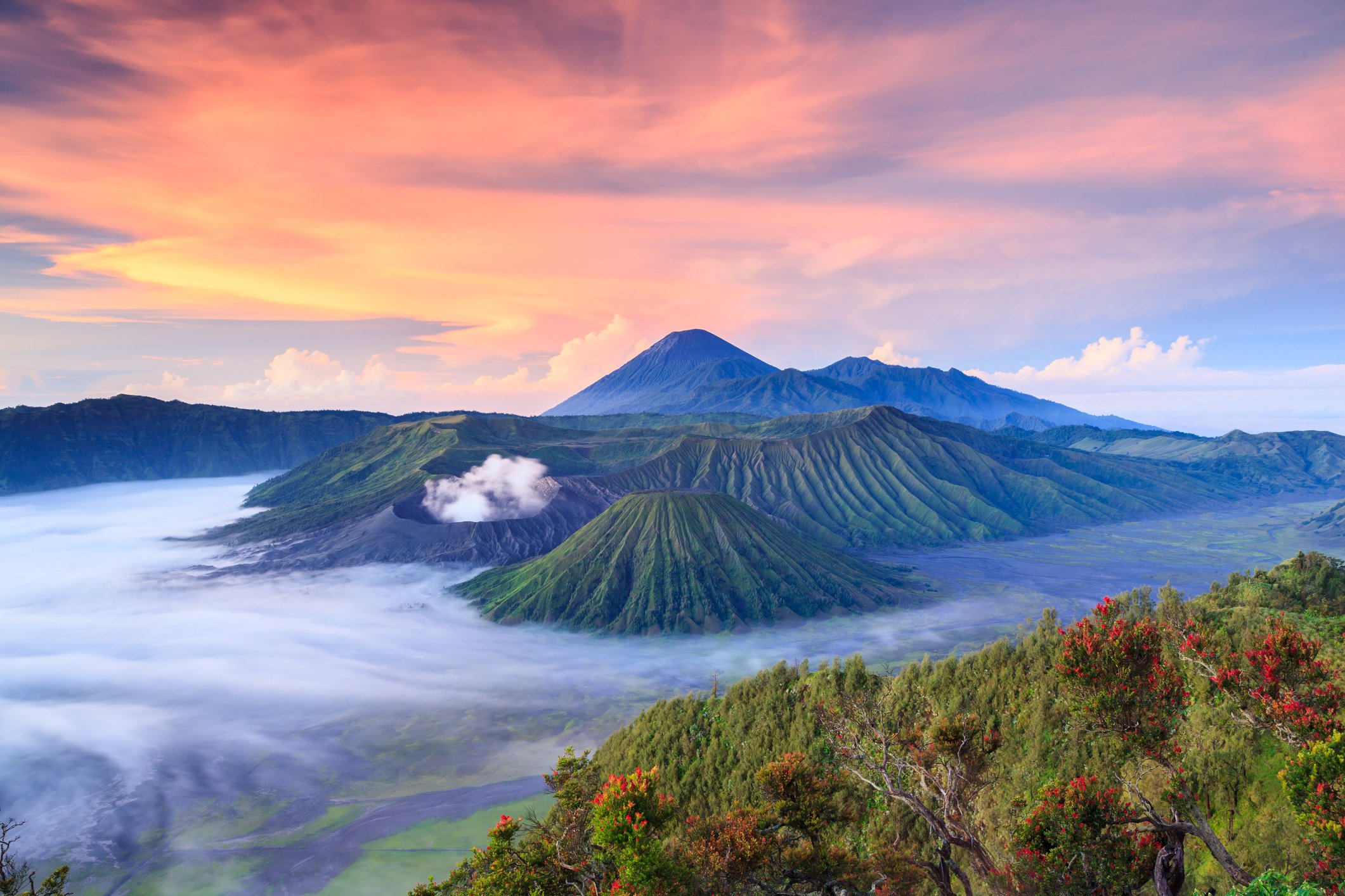 Travel Tips Unveiled: Bali
