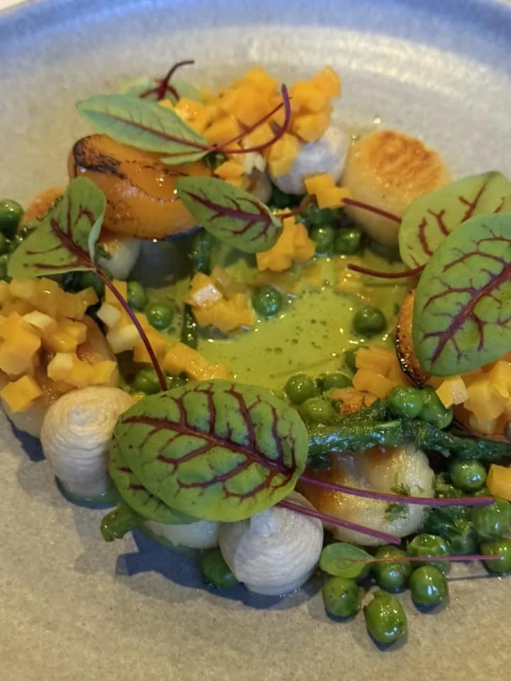 Dining Delight in Auckland: One Tree Grill 