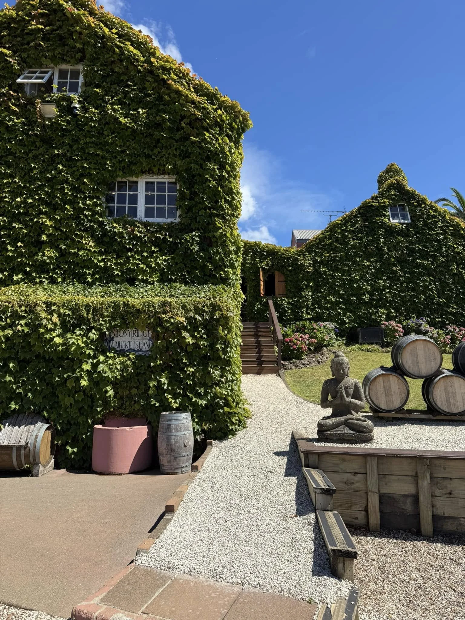 A Taste of Waiheke Island: Wine, Olive Oil, and Scenic Beauty